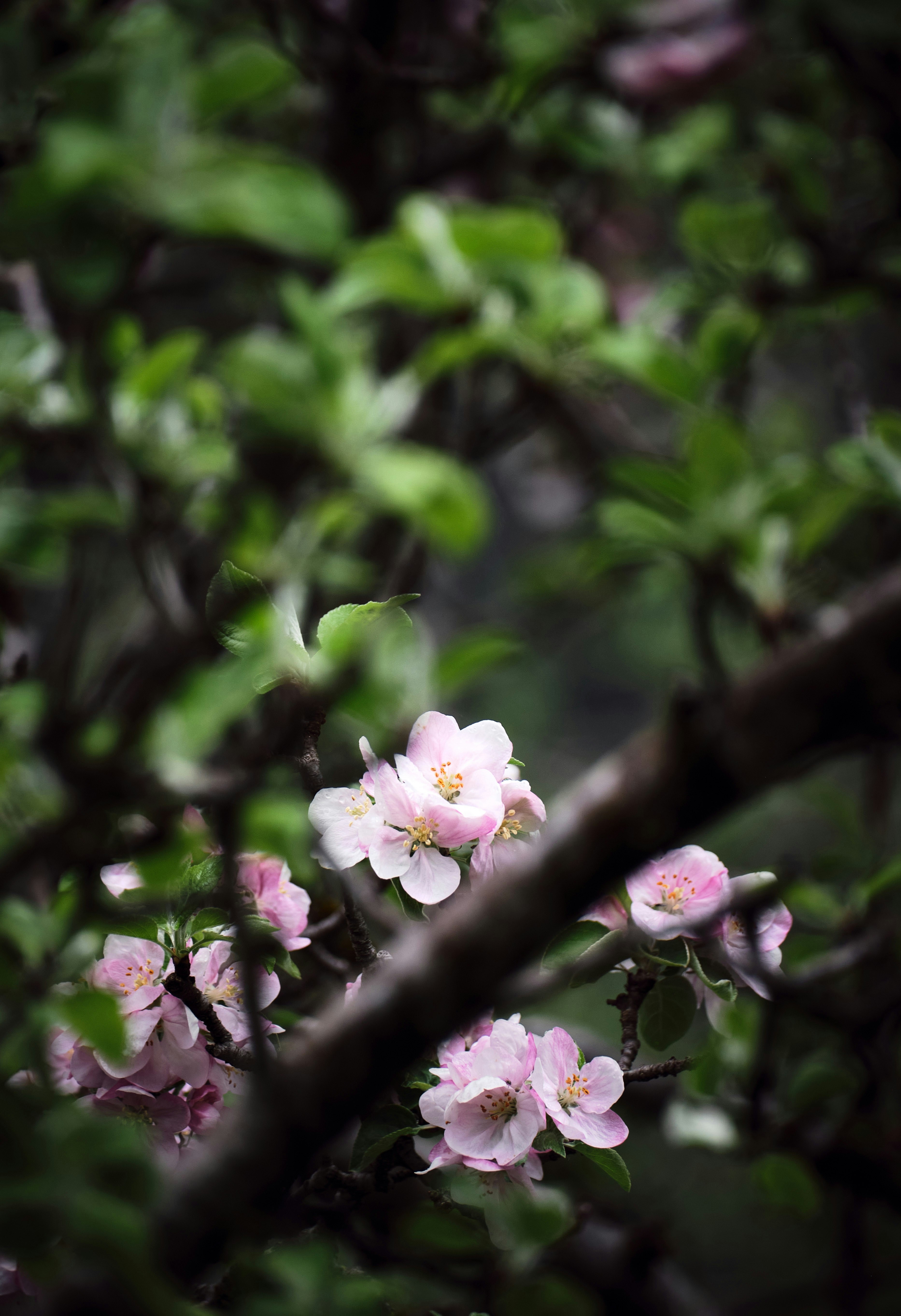 Photo by marcus_ganahl