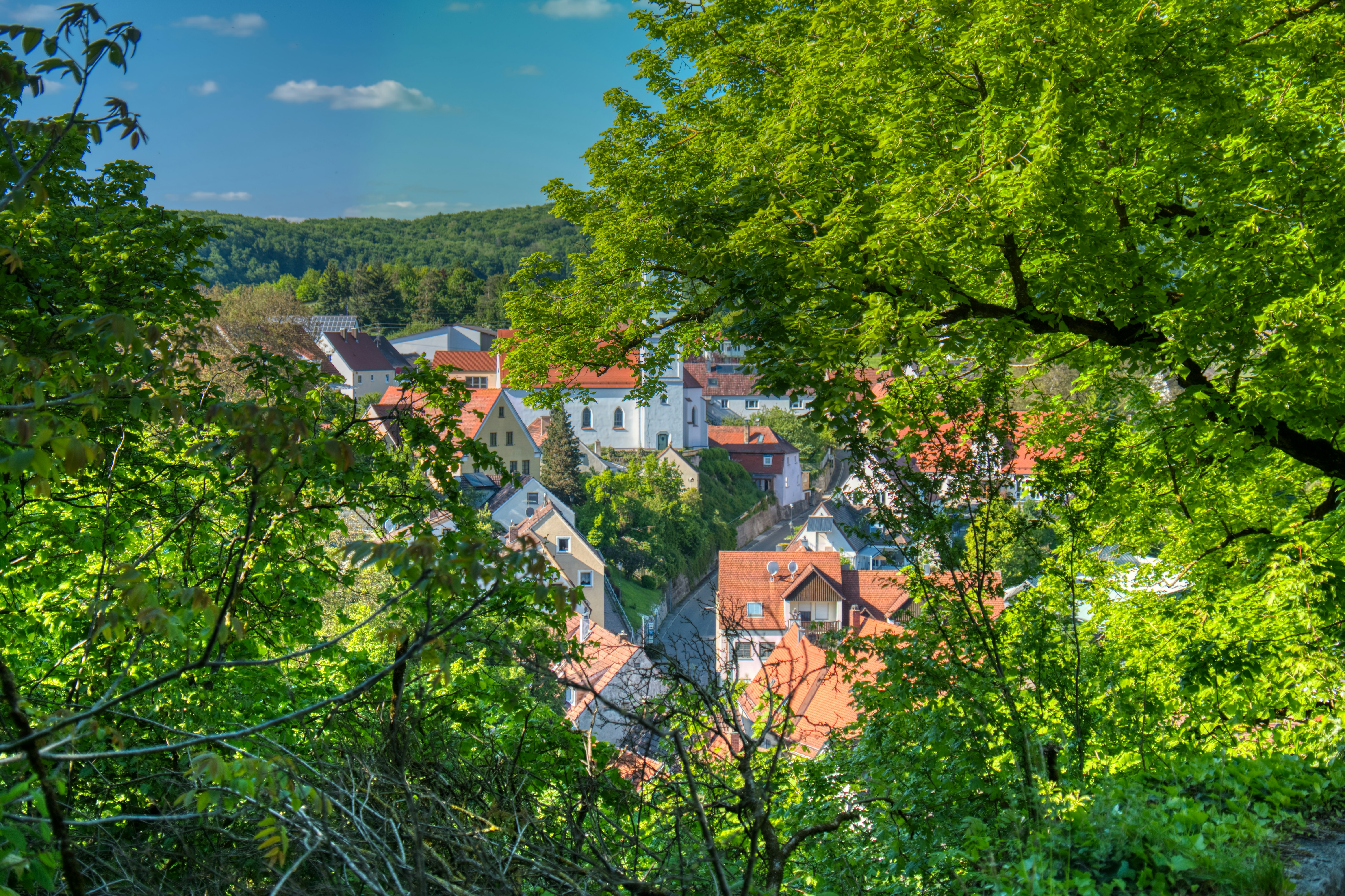 Photo by saschaoberman