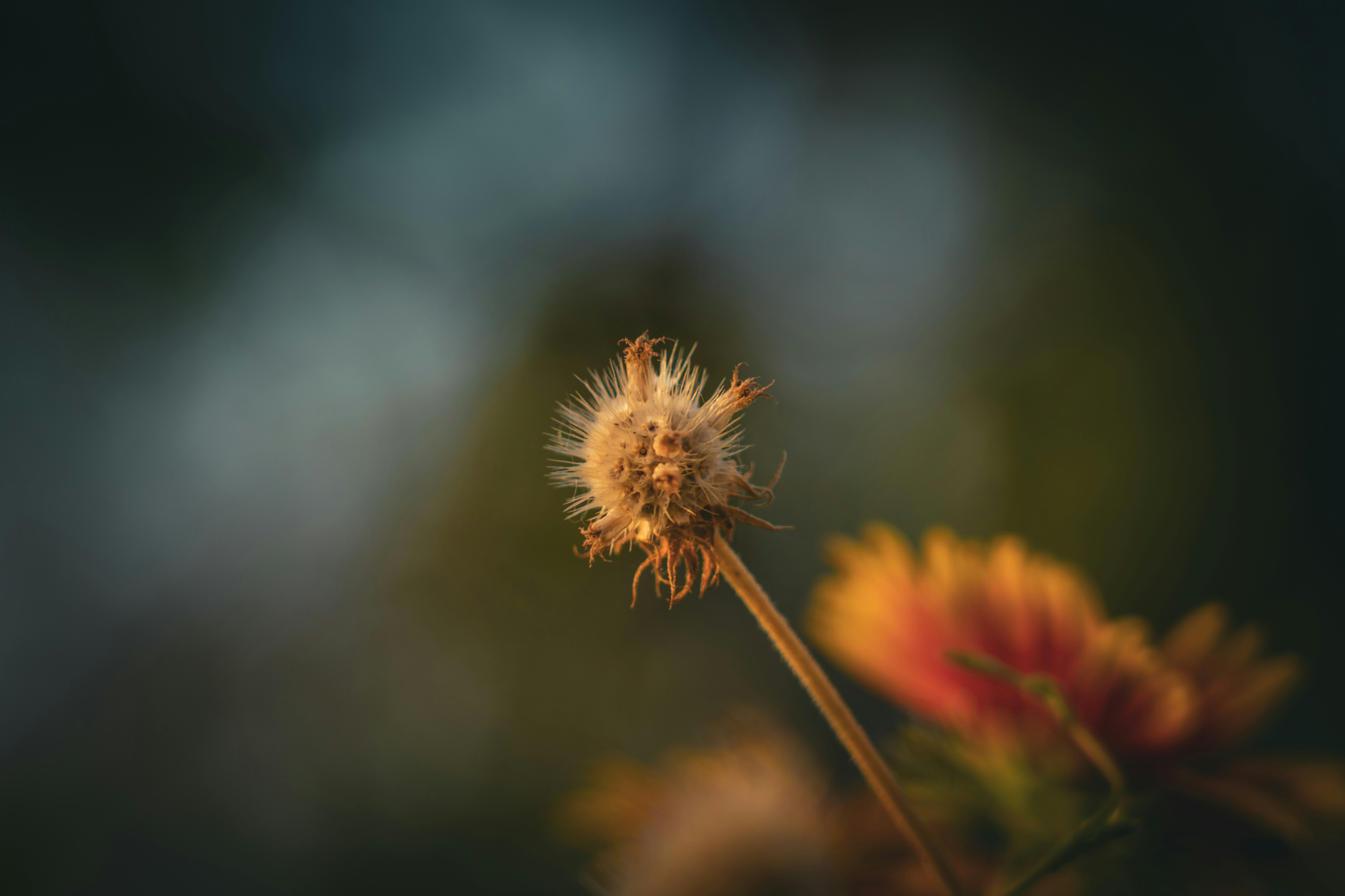 Photo by pixel_guy97