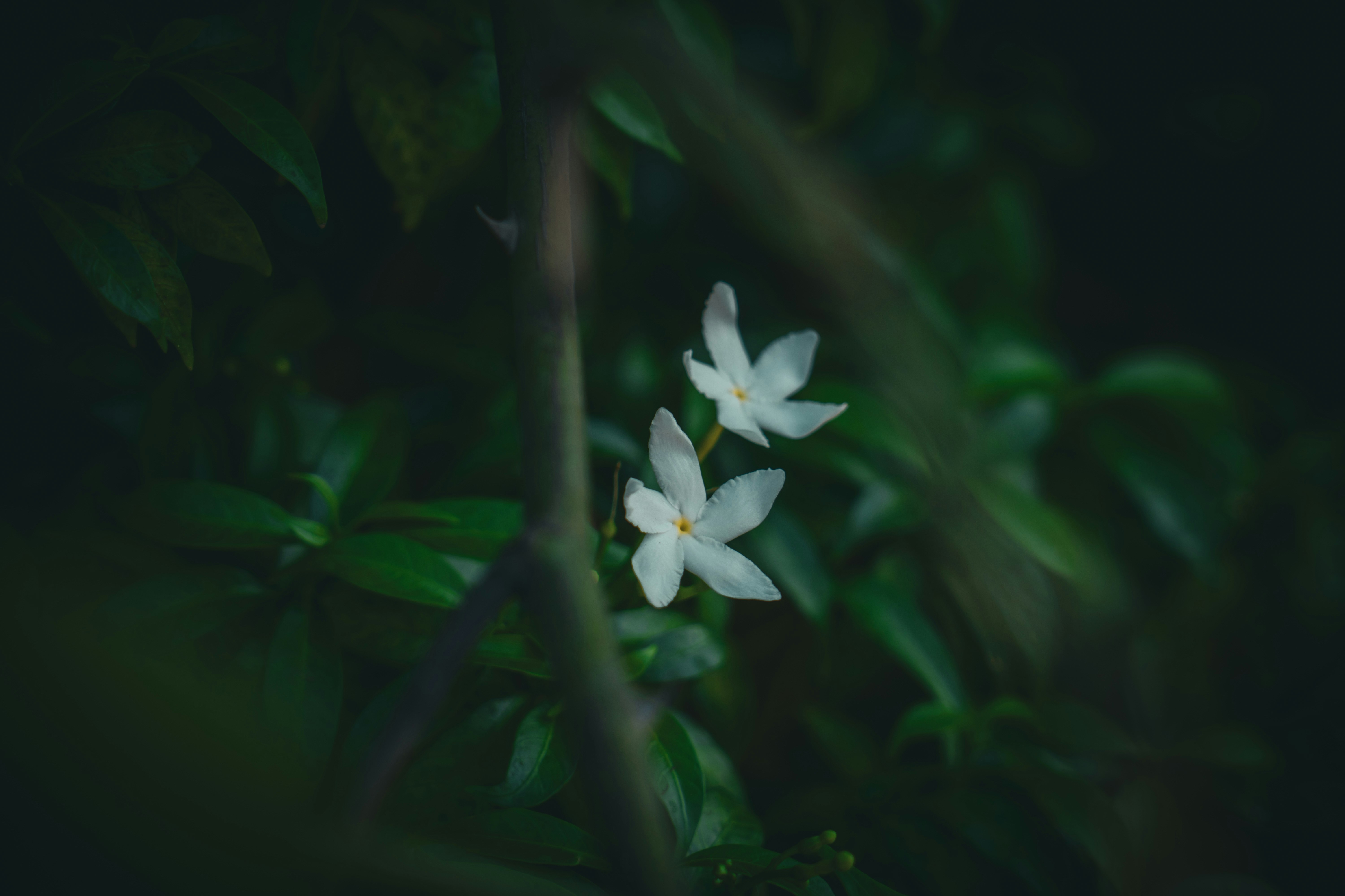 Photo by pixel_guy97