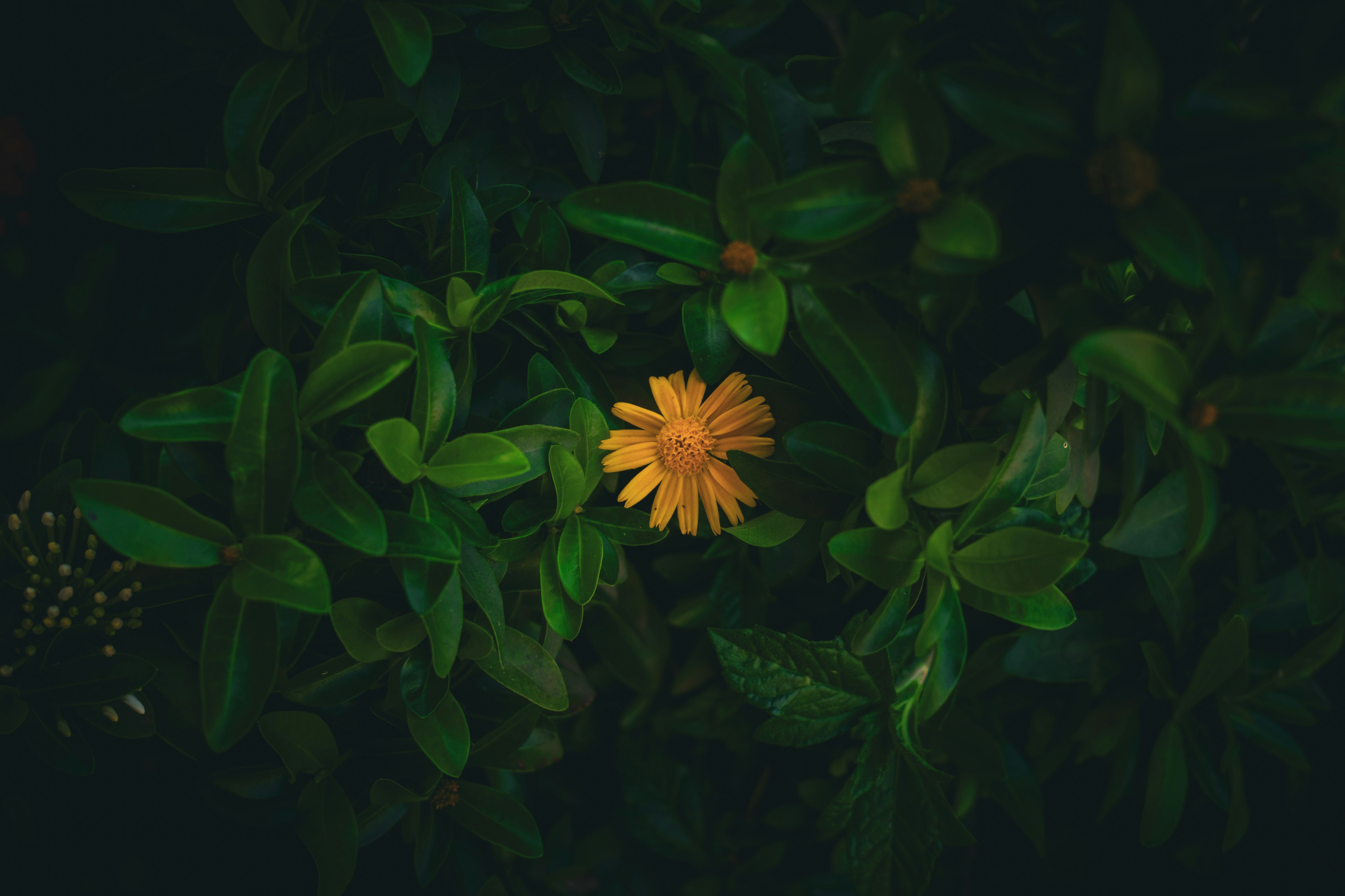 Photo by pixel_guy97