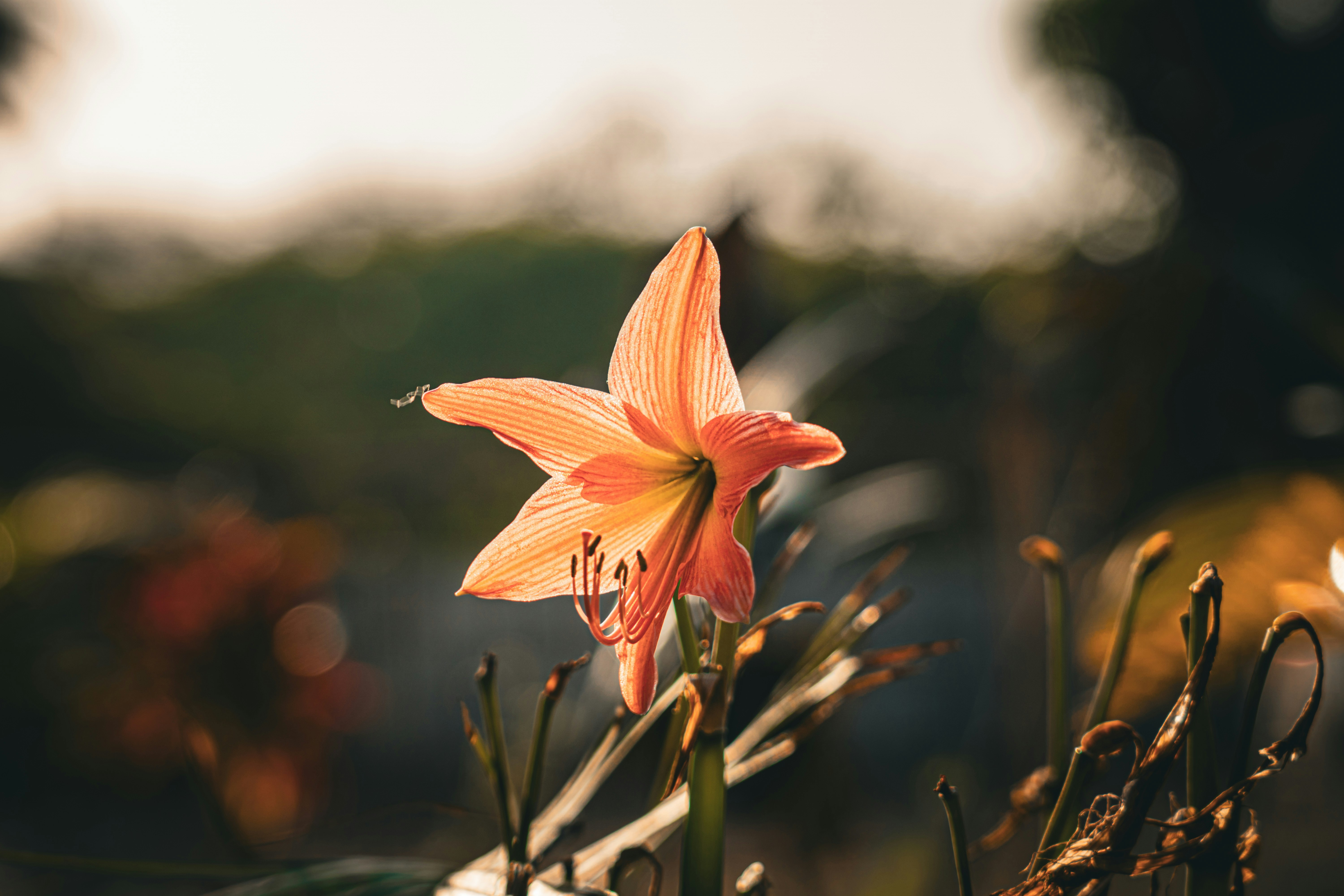 Photo by pixel_guy97