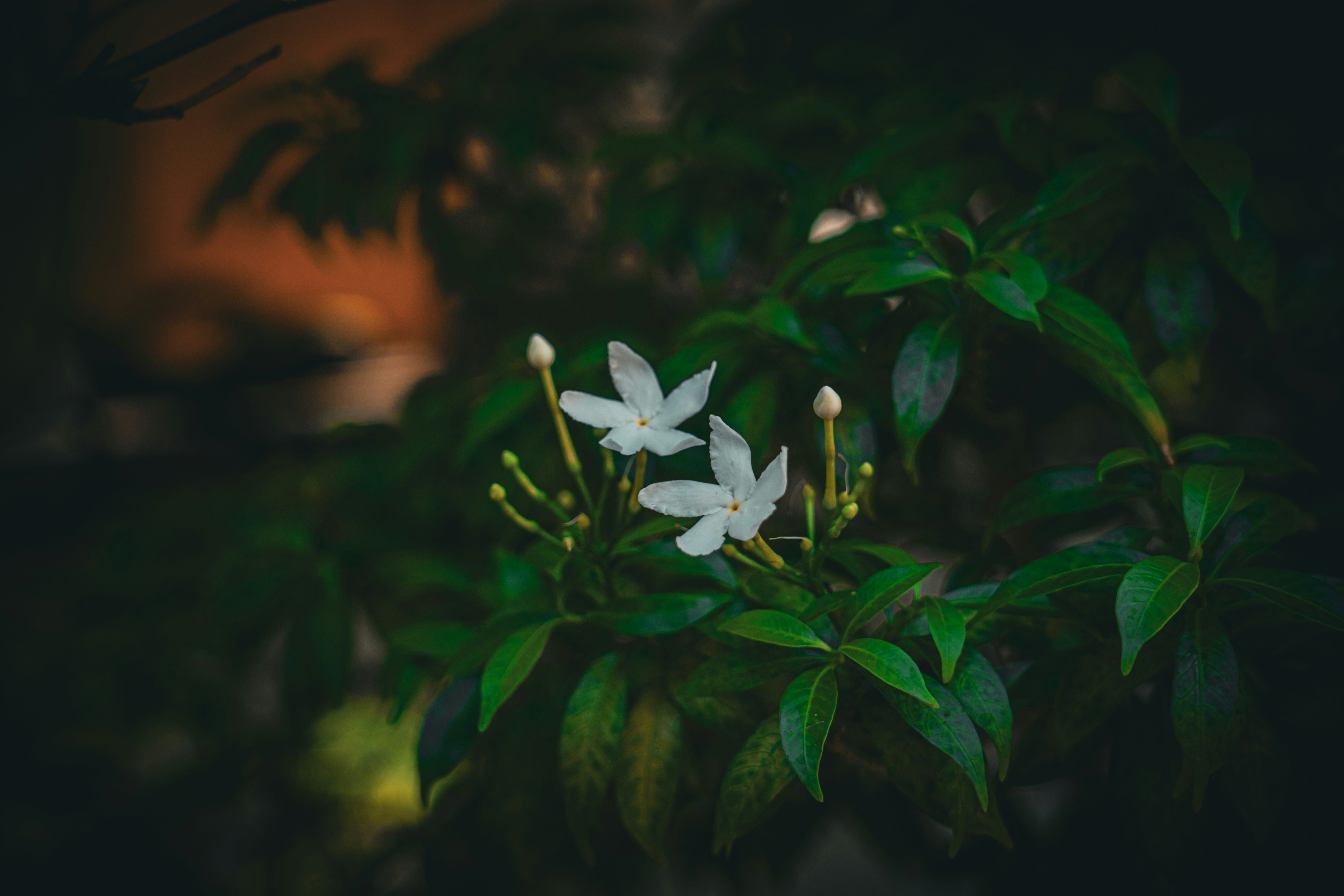 Photo by pixel_guy97