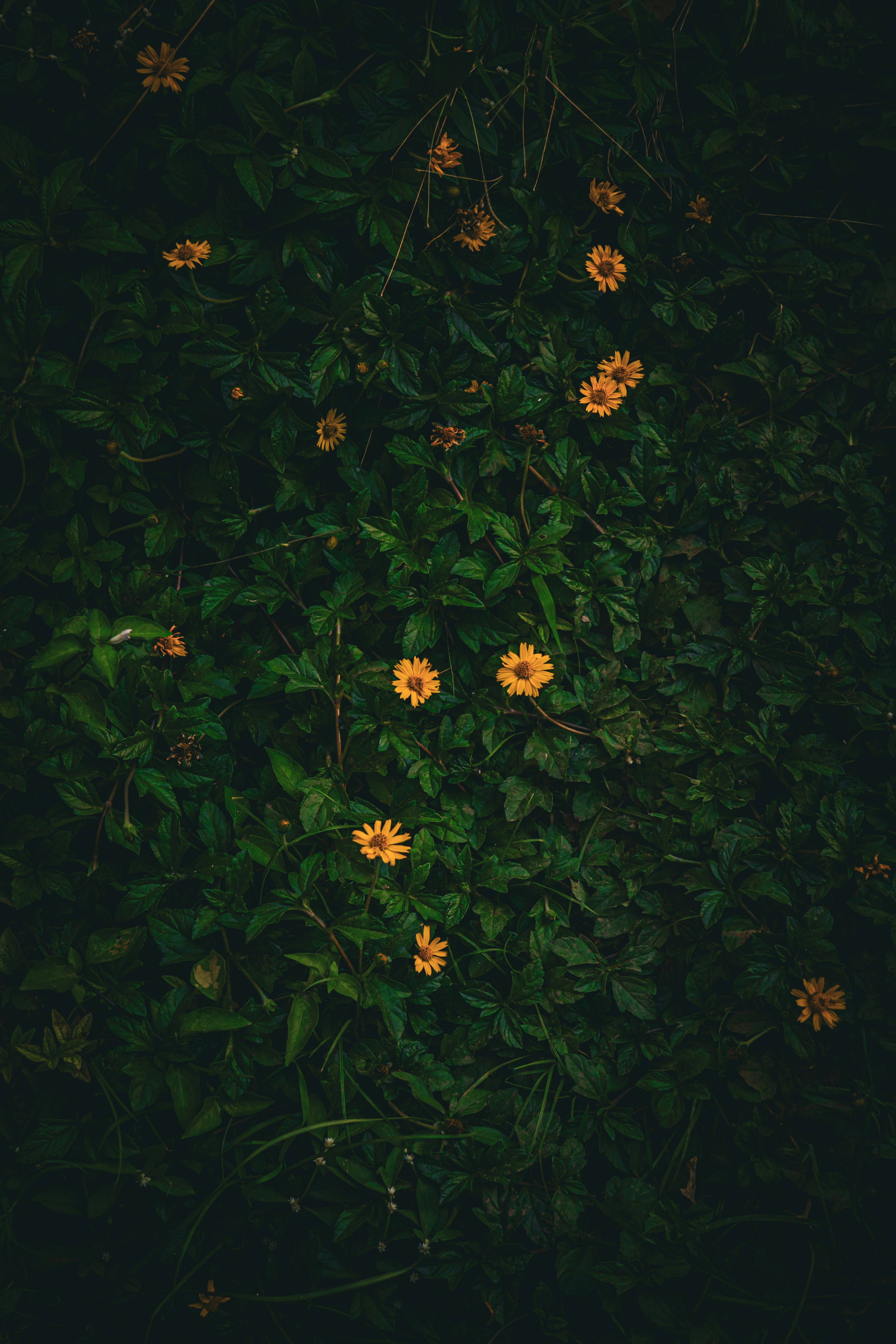 Photo by pixel_guy97