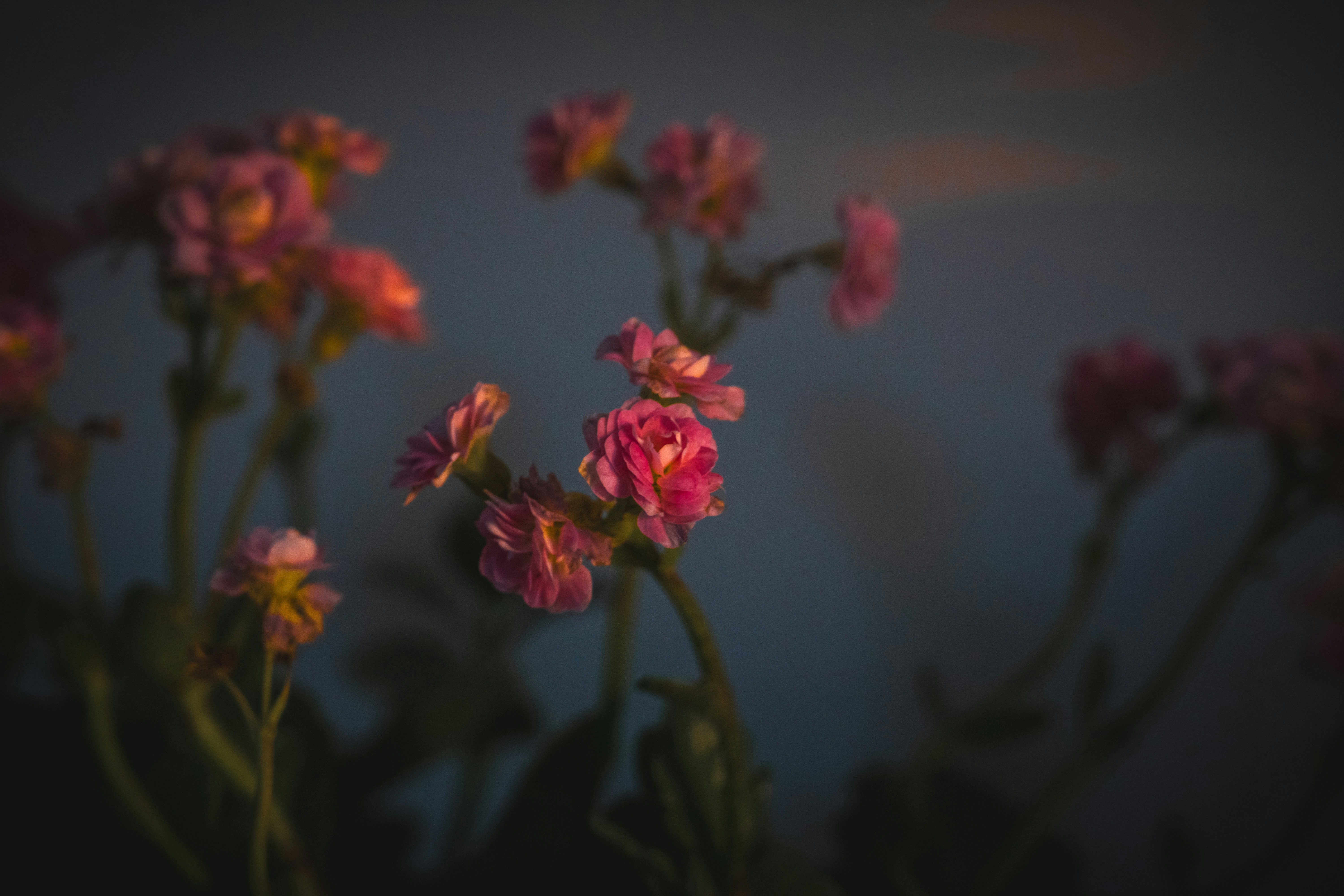 Photo by pixel_guy97