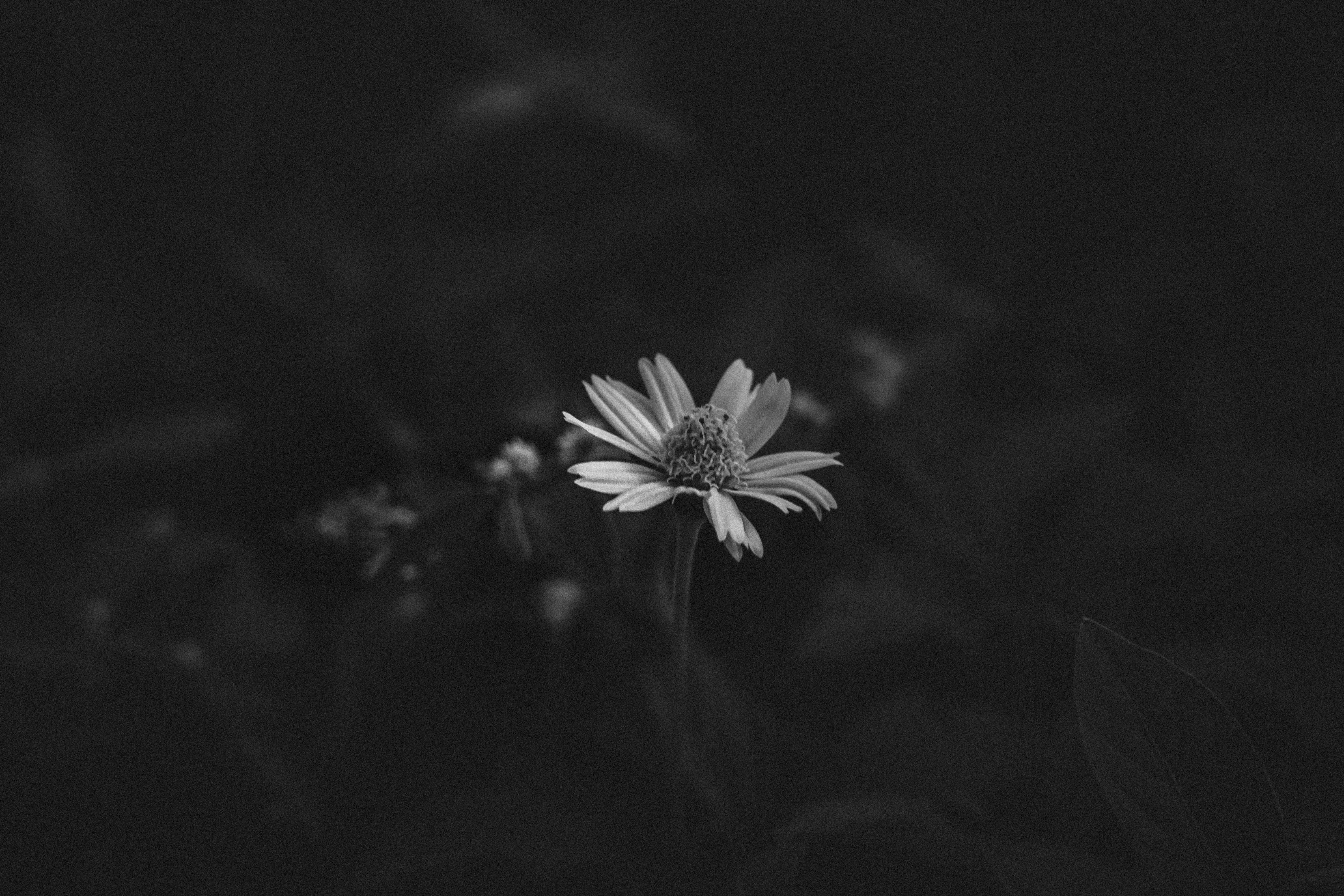 Photo by pixel_guy97