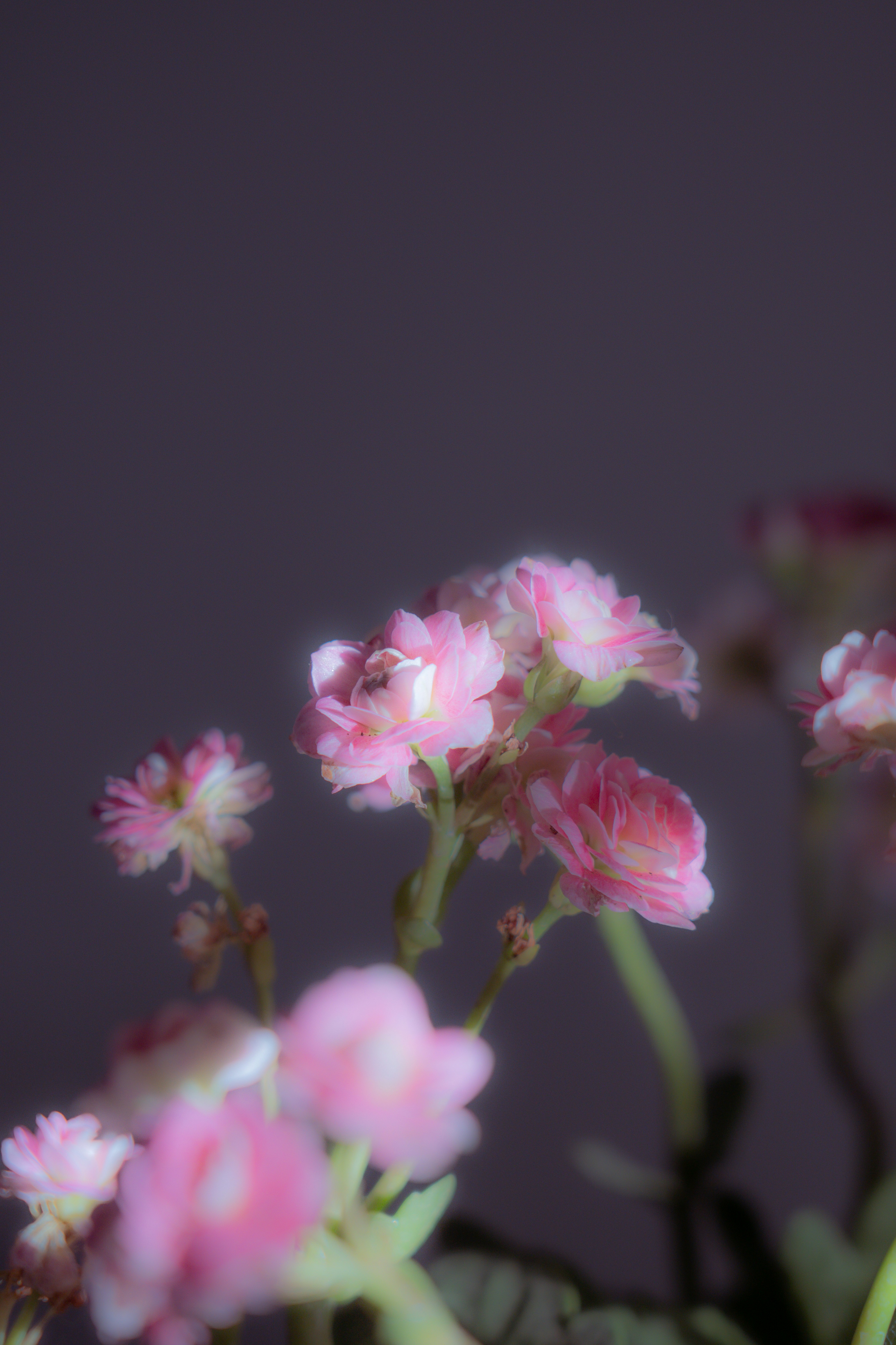 Photo by pixel_guy97