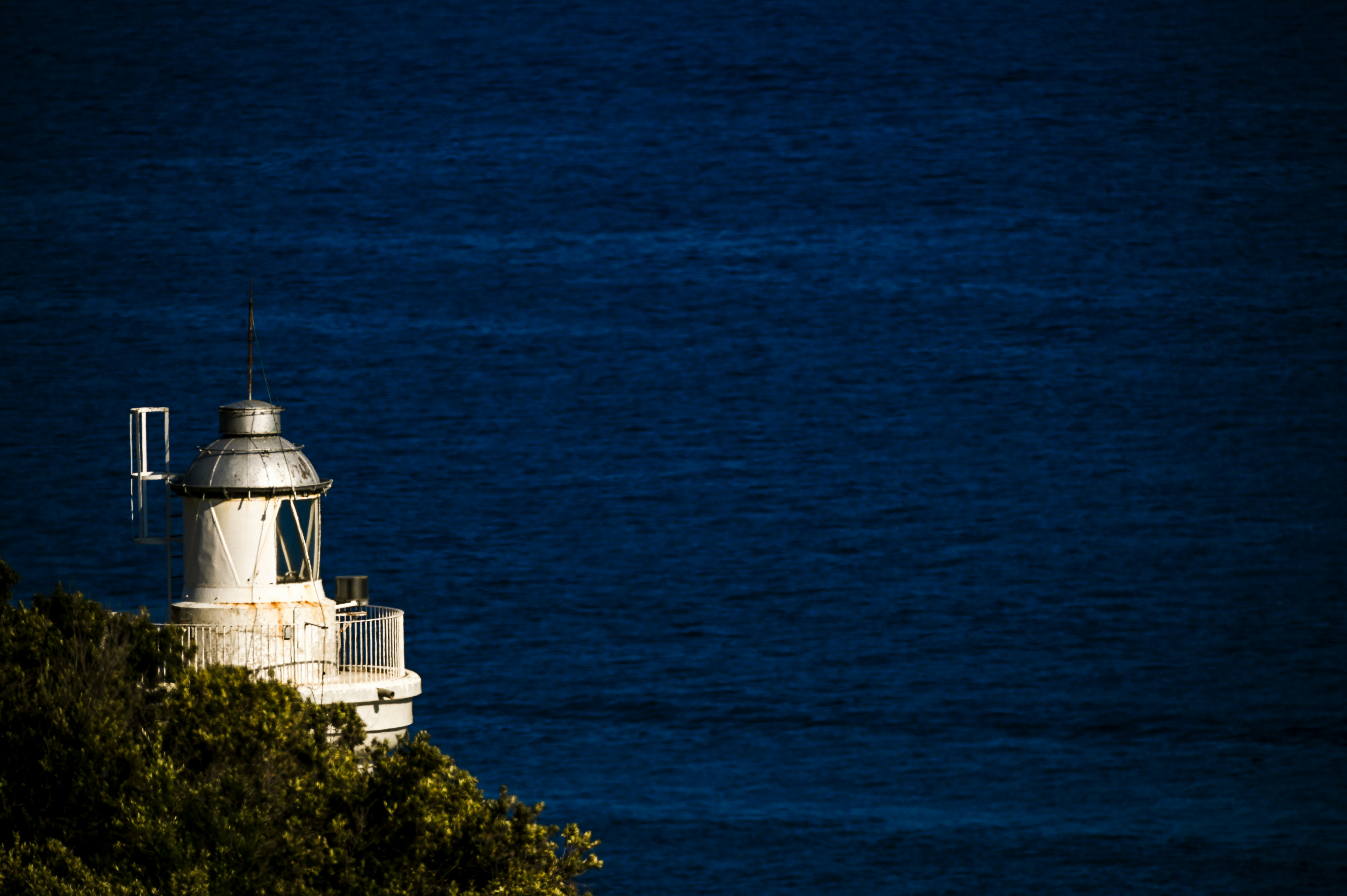 Photo by lucaakalu