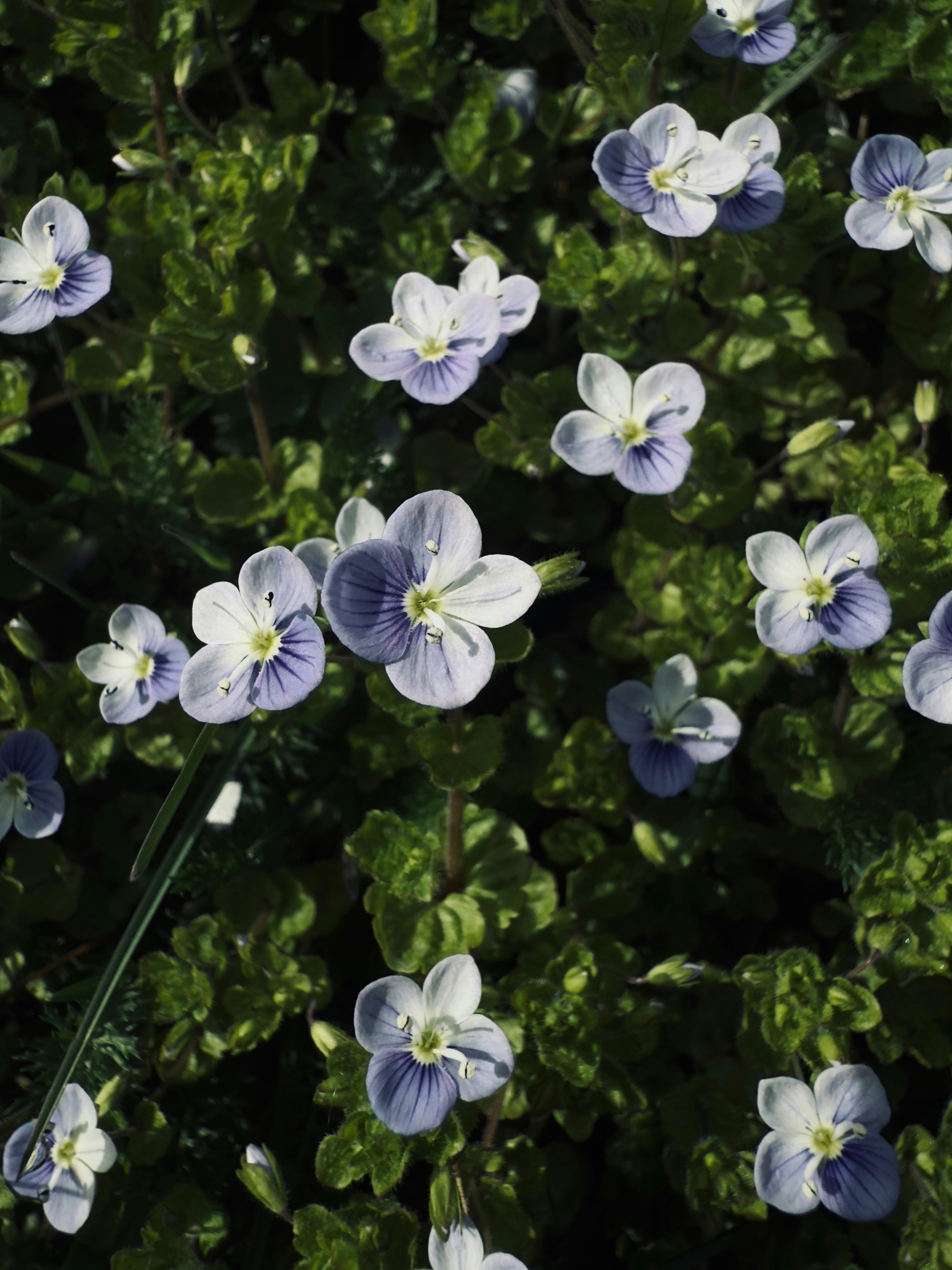 Photo by raymatthewx