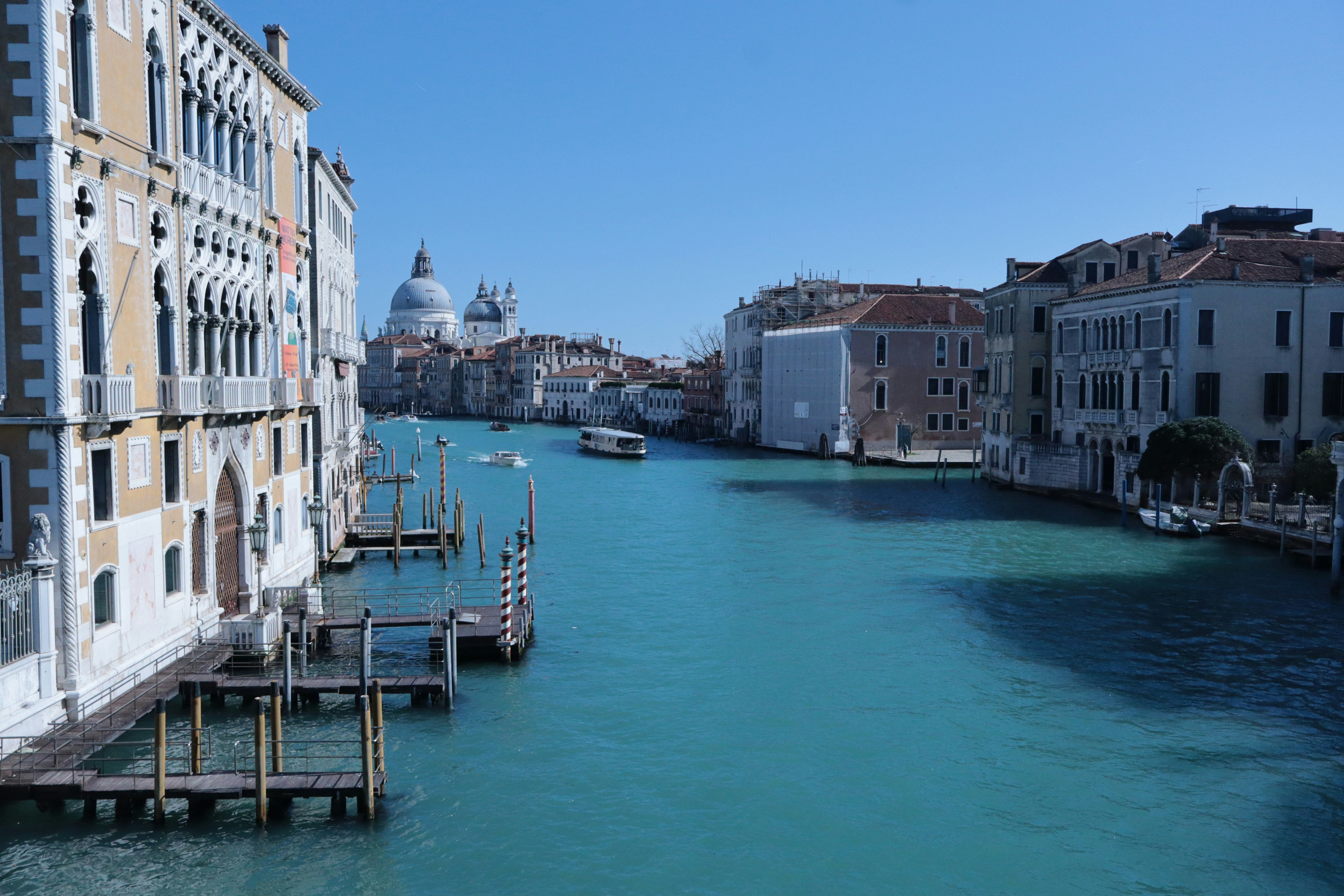 Photo by mehrnaztehranchi