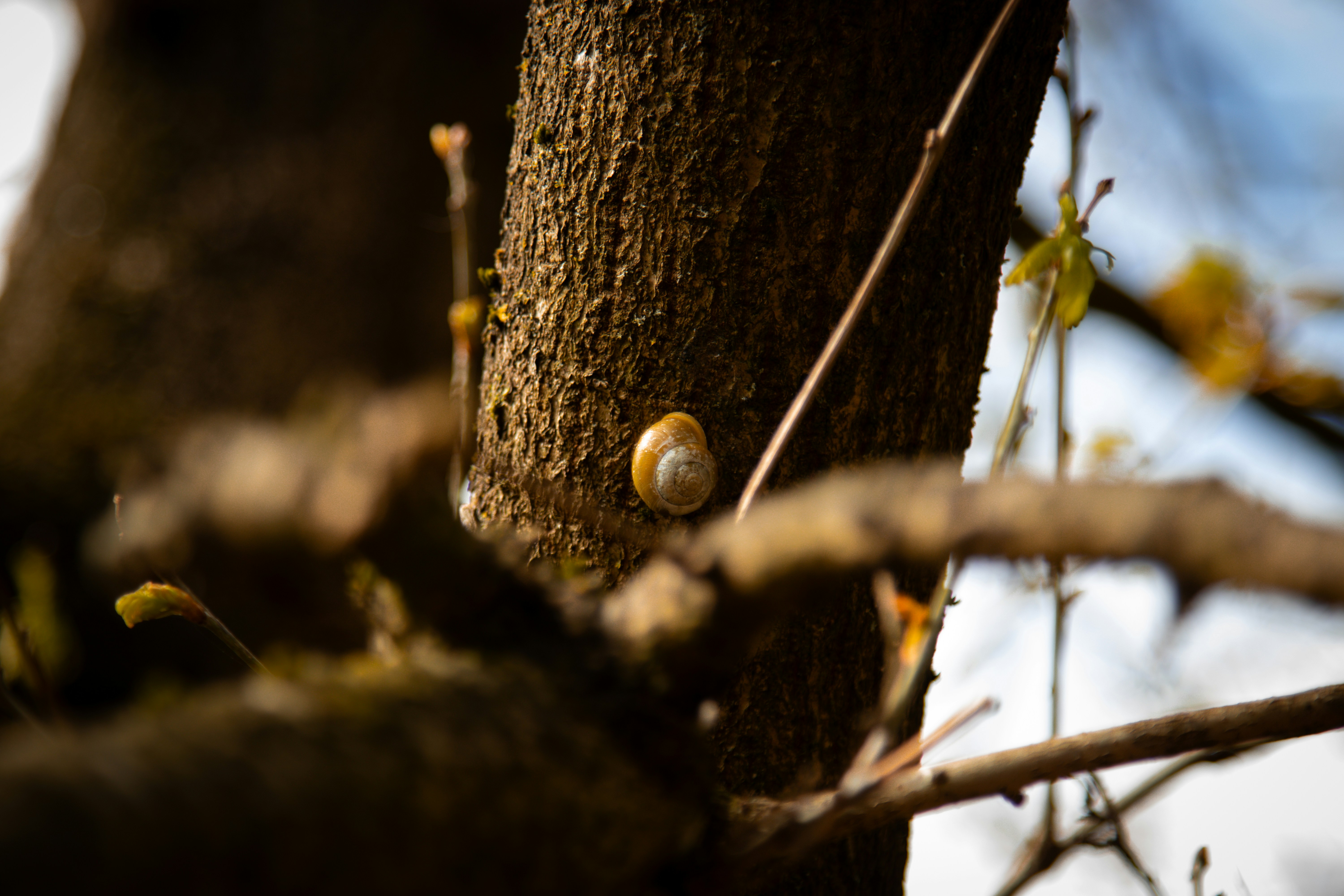 Photo by scottsalchemy