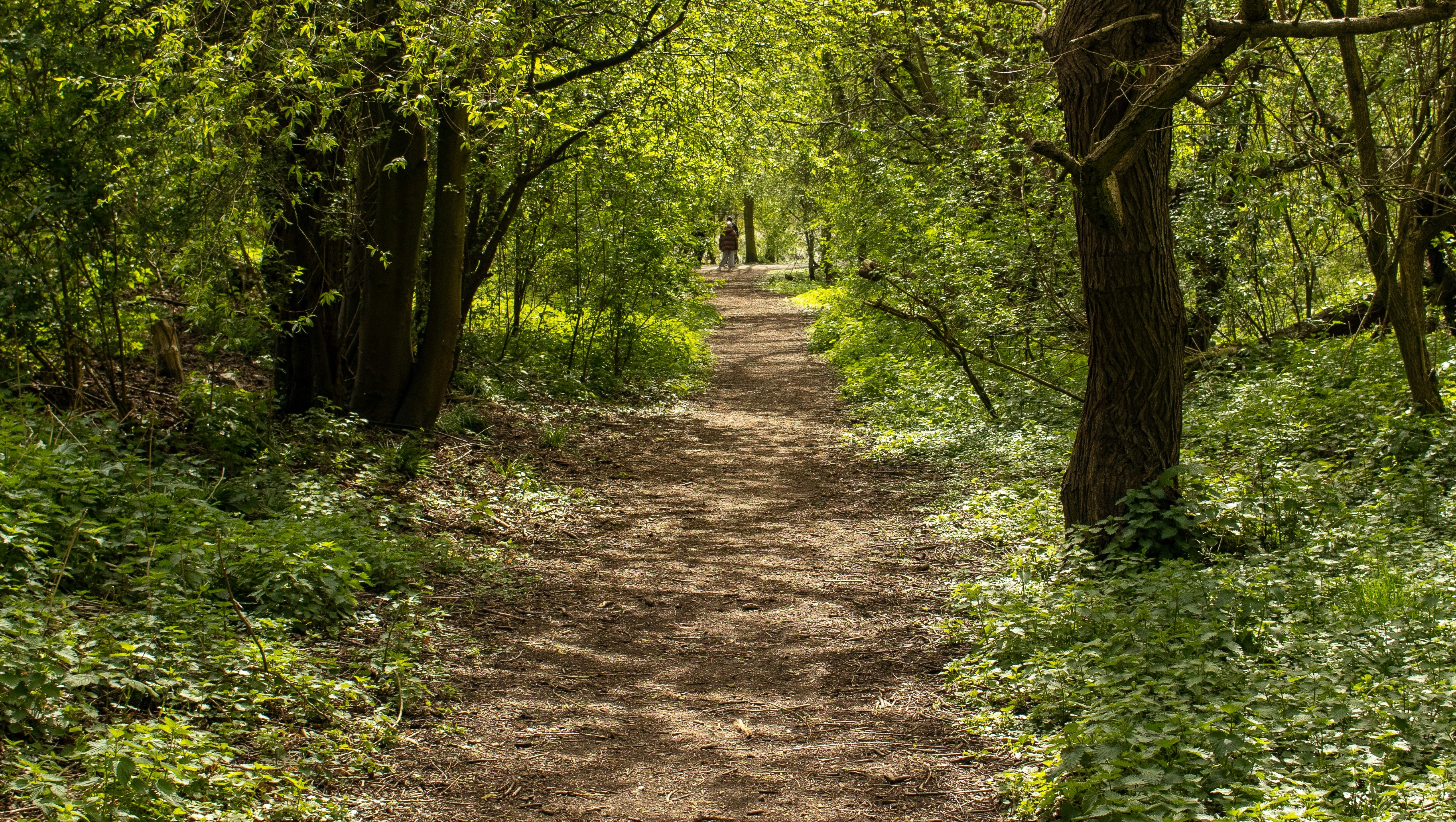 Photo by scottsalchemy