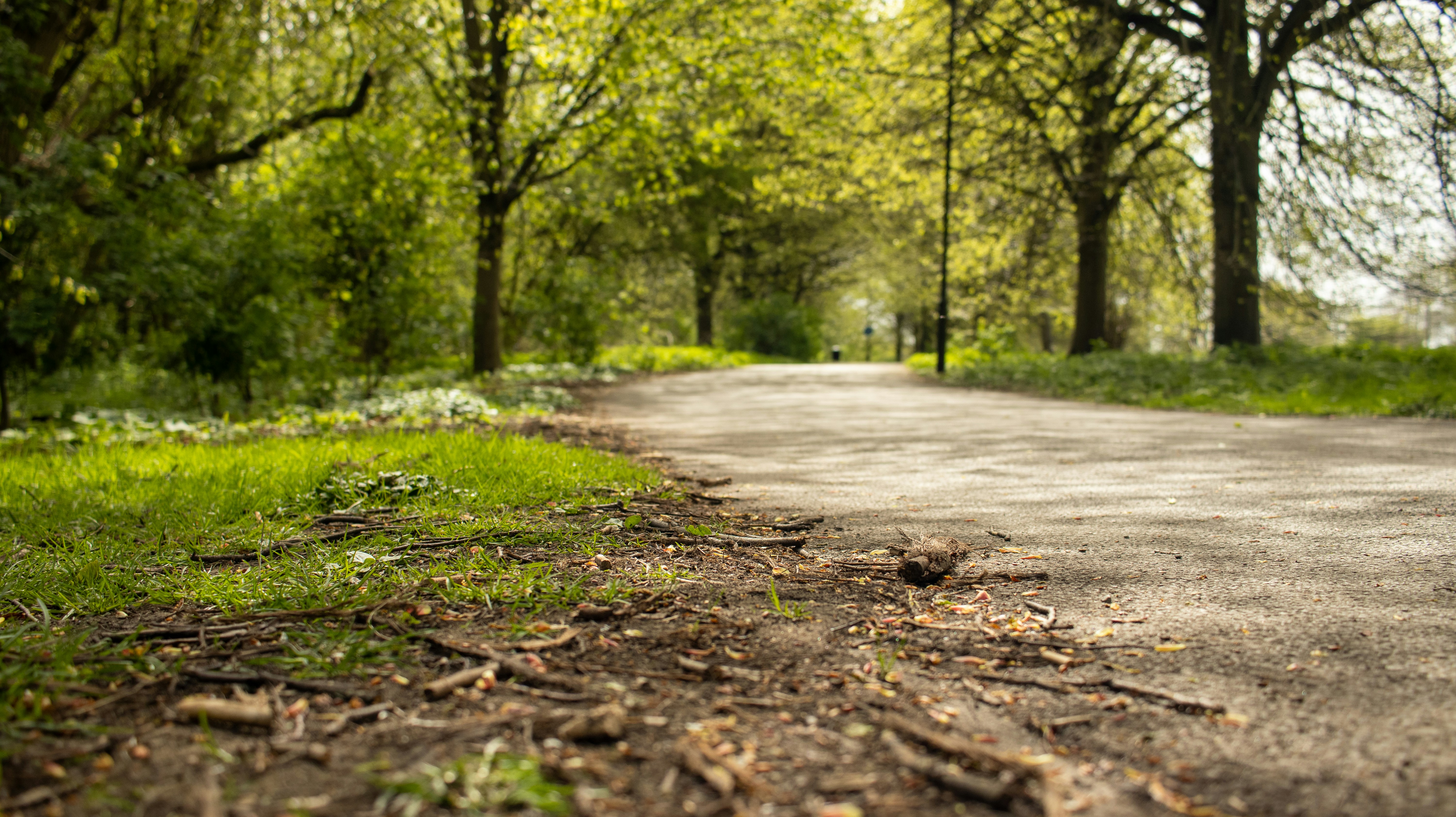 Photo by scottsalchemy