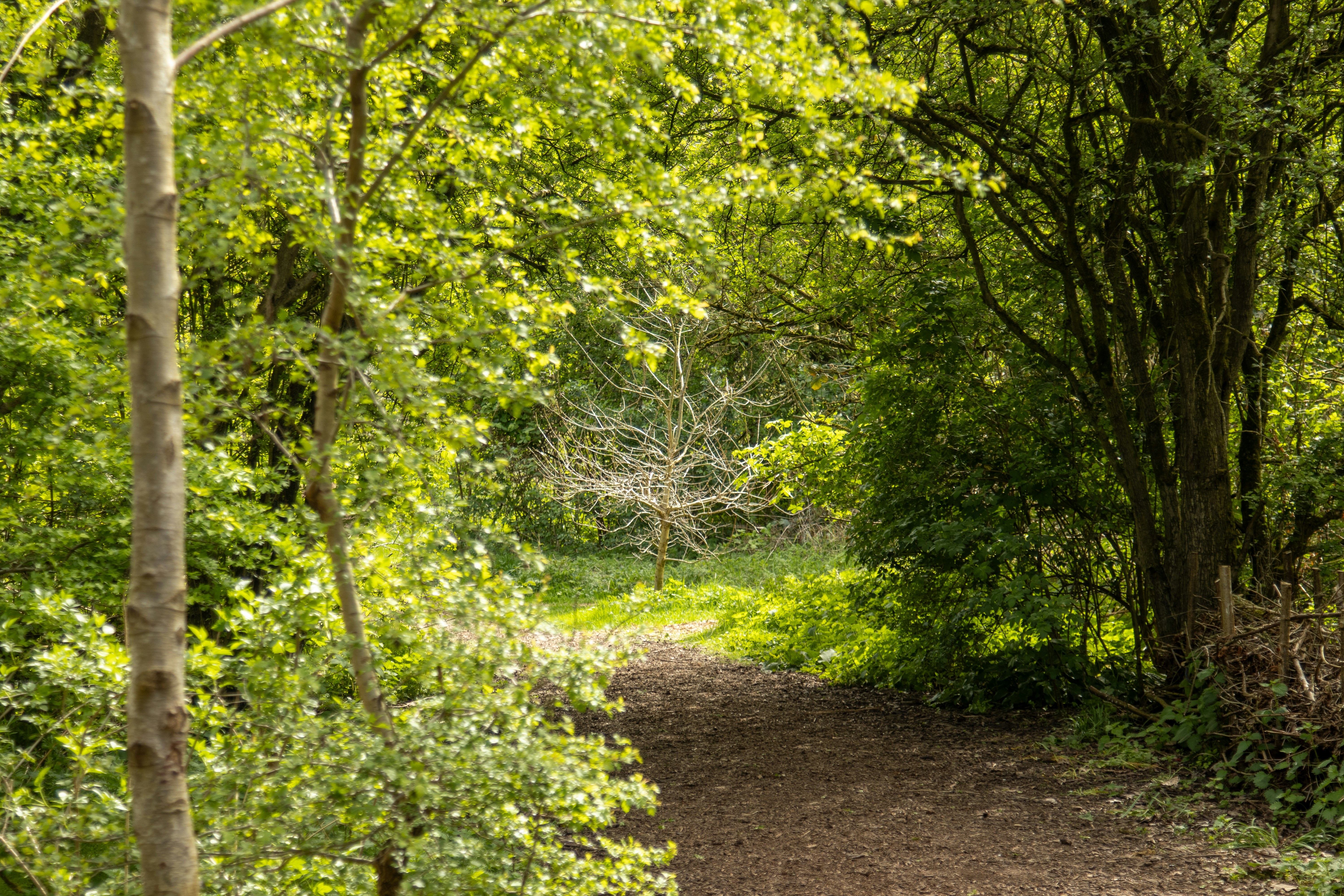 Photo by scottsalchemy