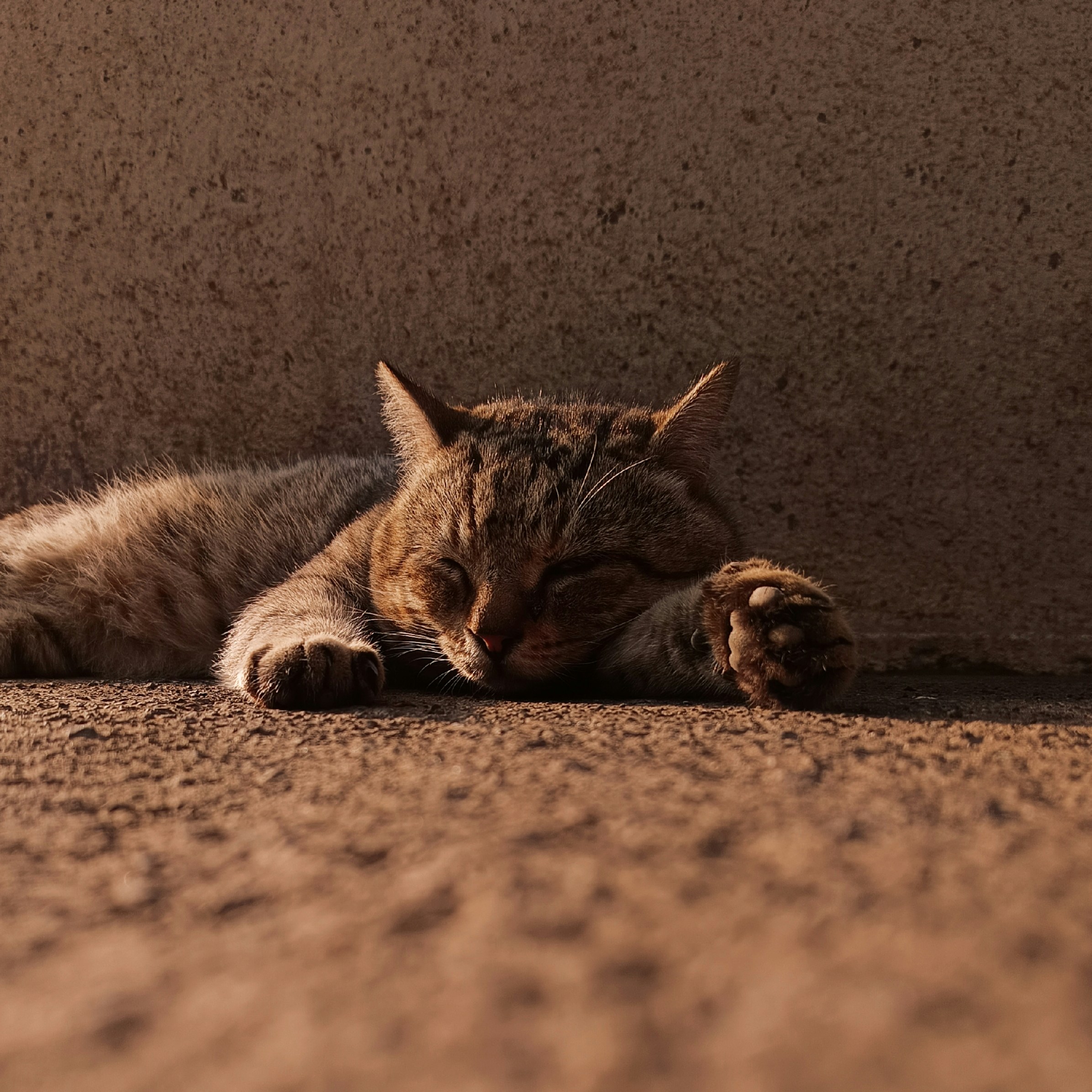 Photo by default_cameraman