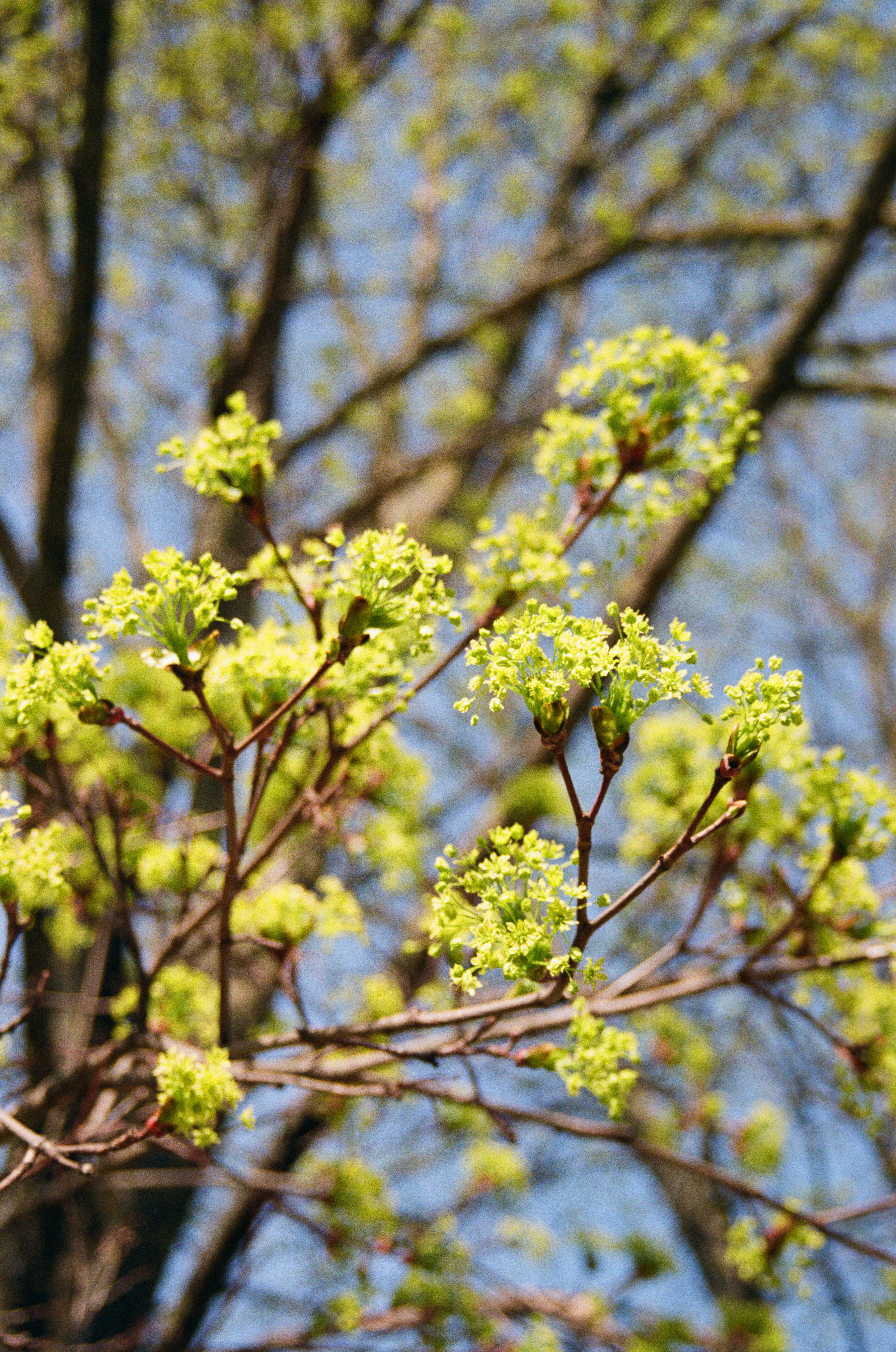 Photo by valeria_klys