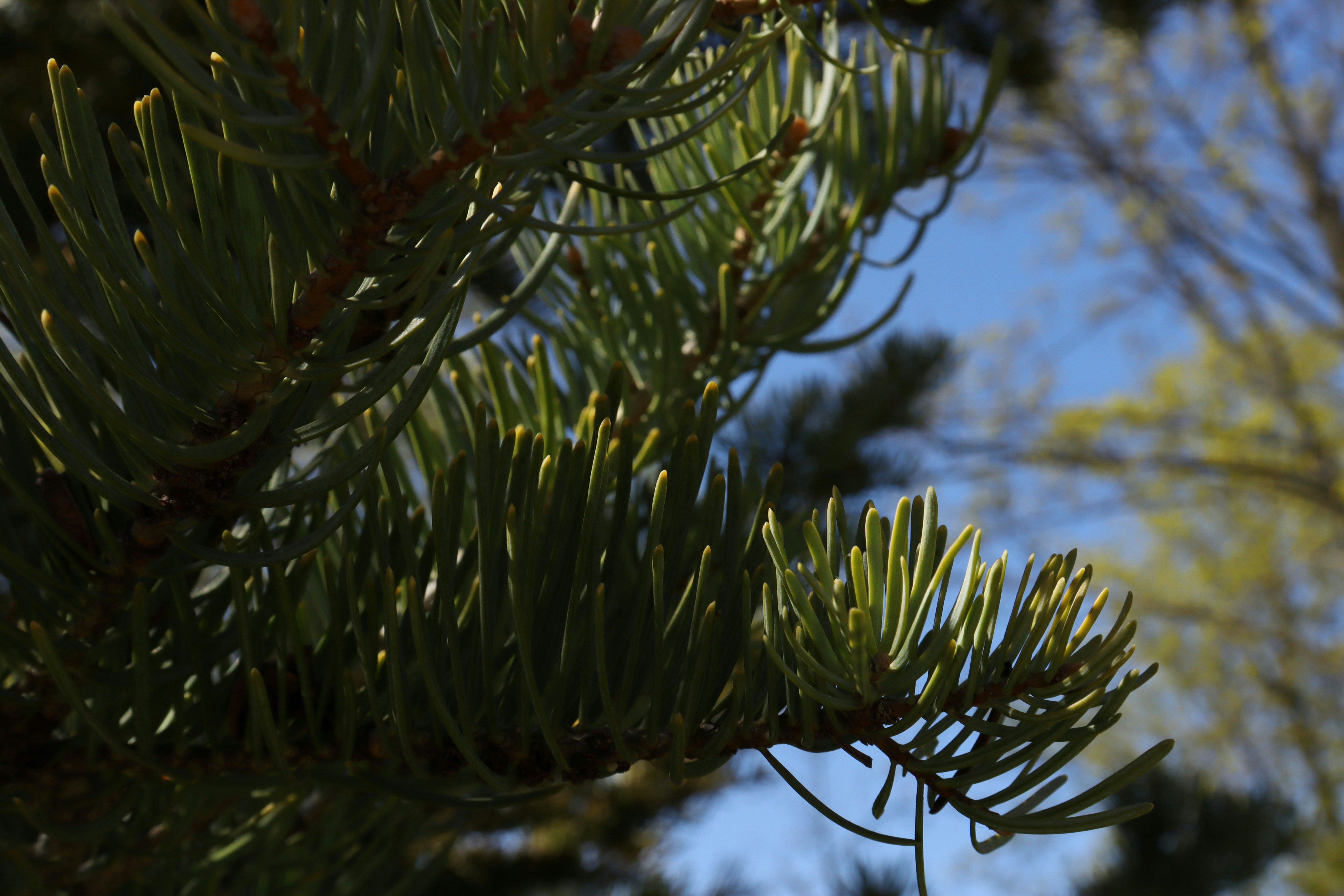 Photo by bored_mongoose