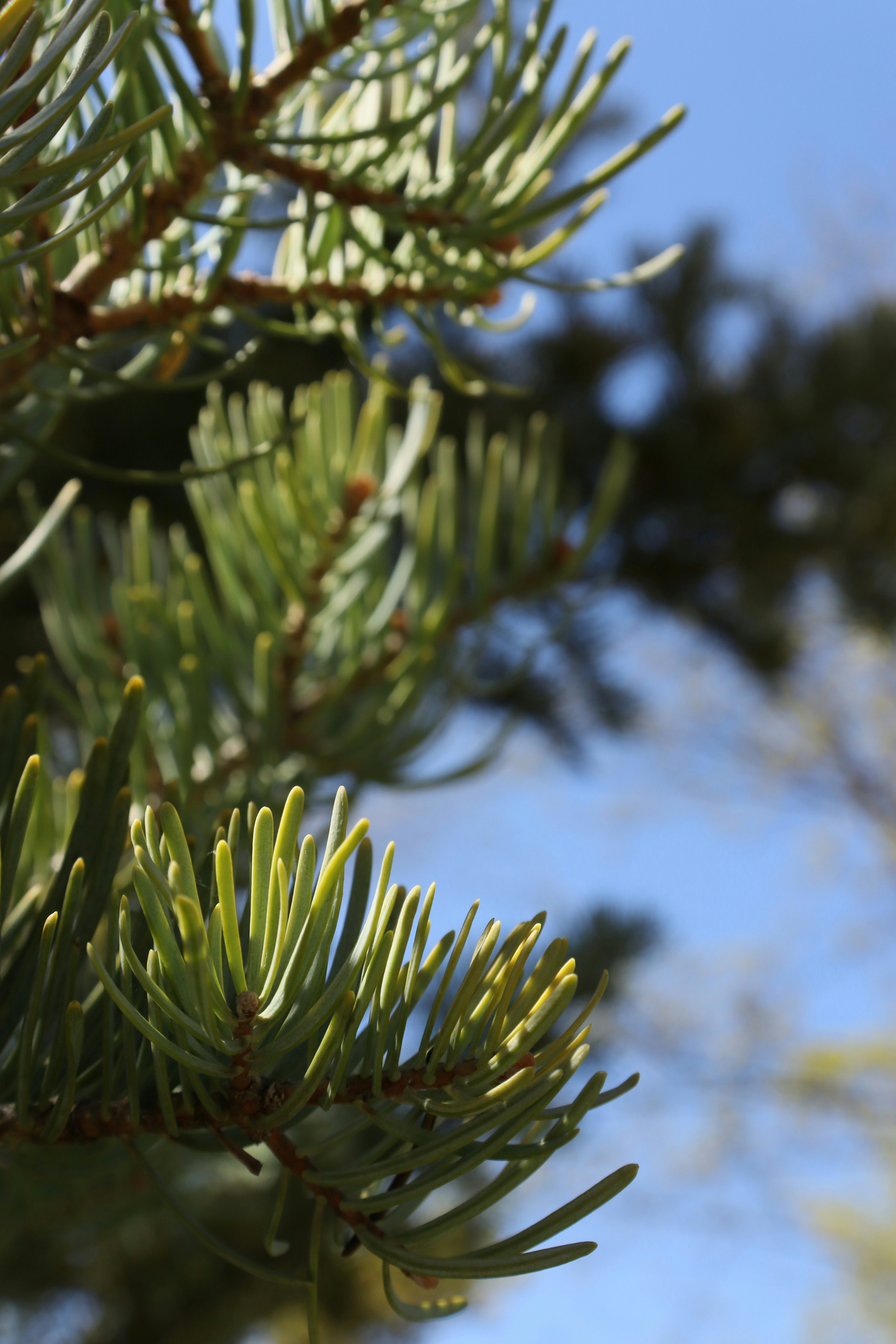 Photo by bored_mongoose