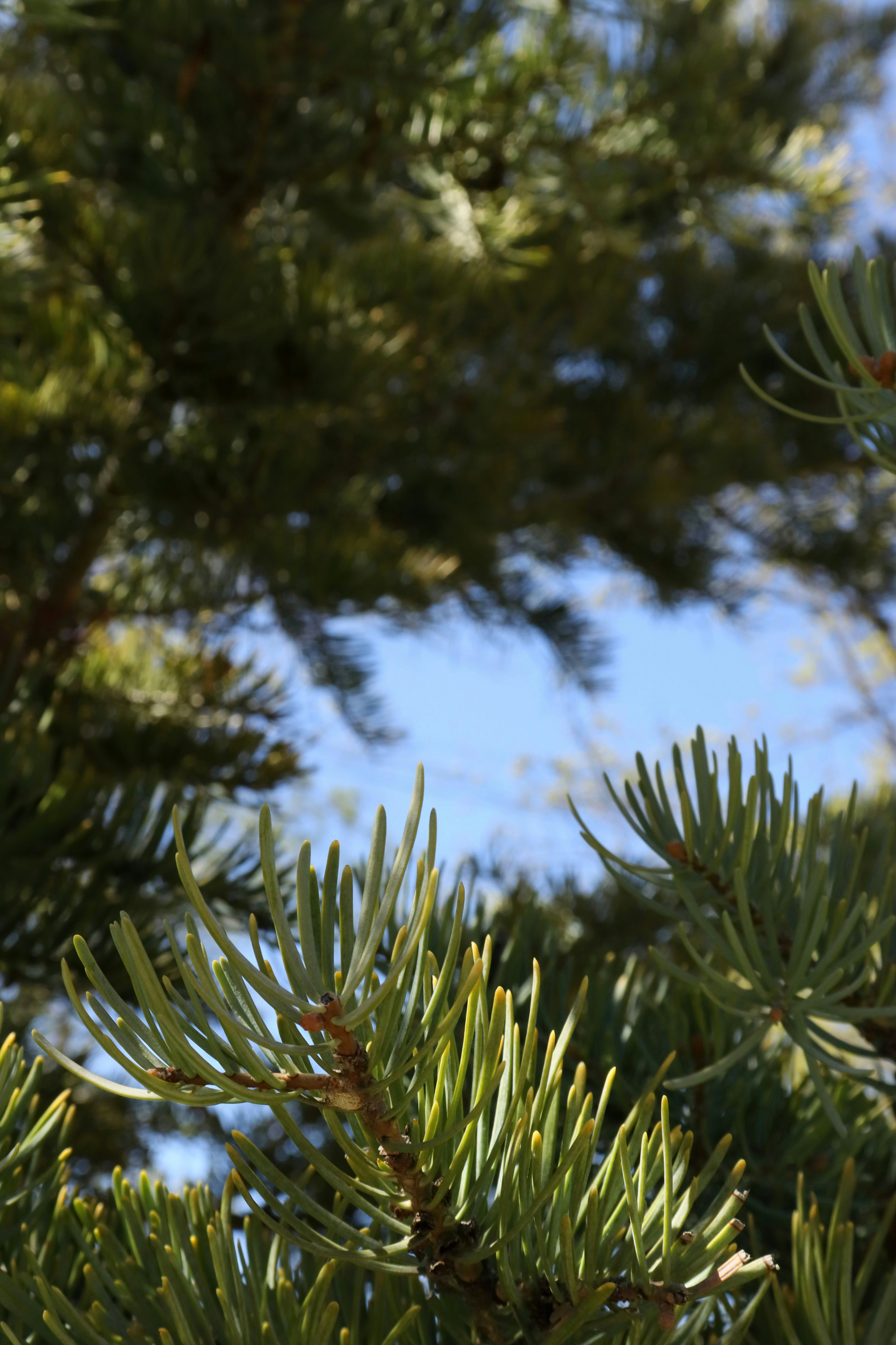 Photo by bored_mongoose