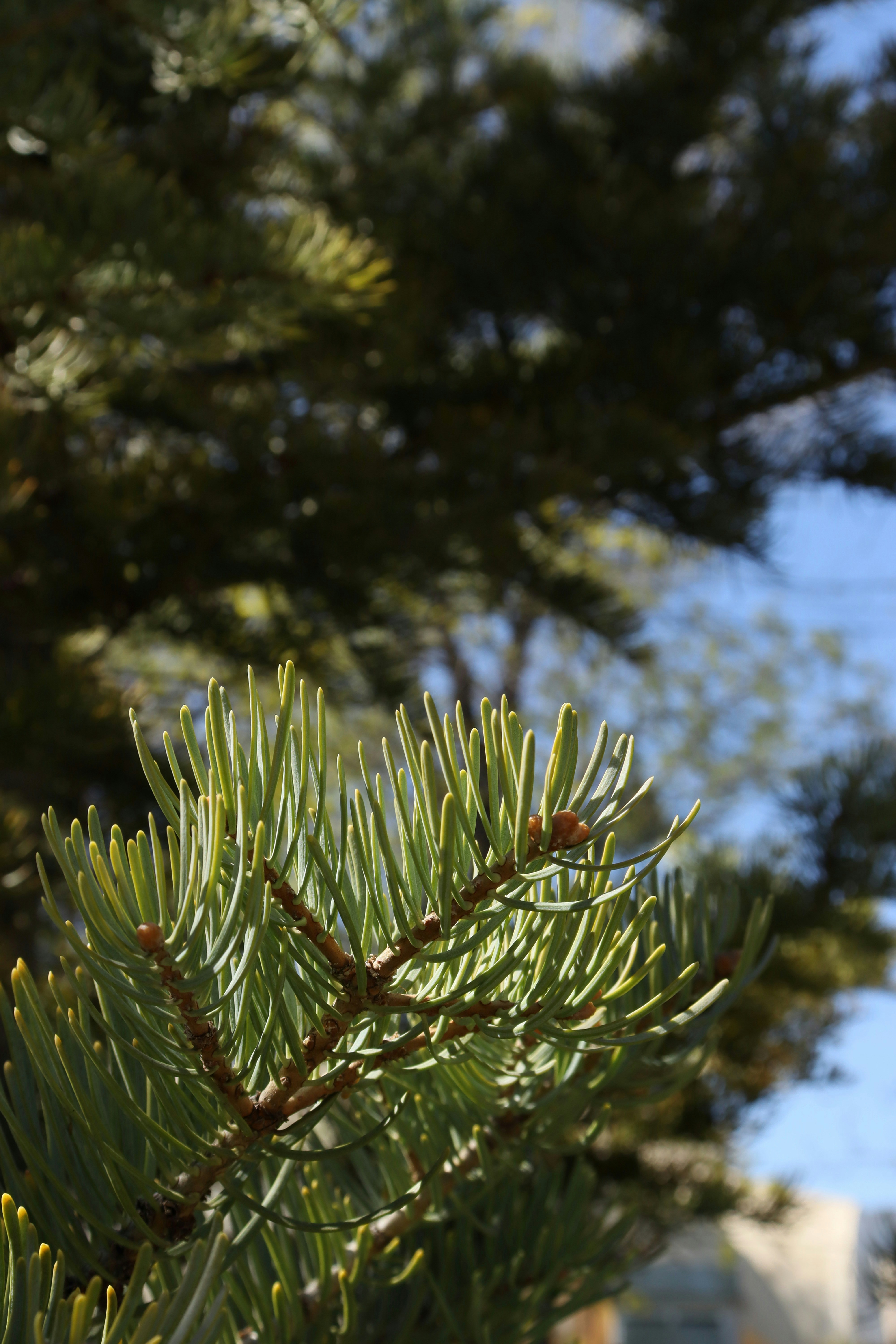 Photo by bored_mongoose