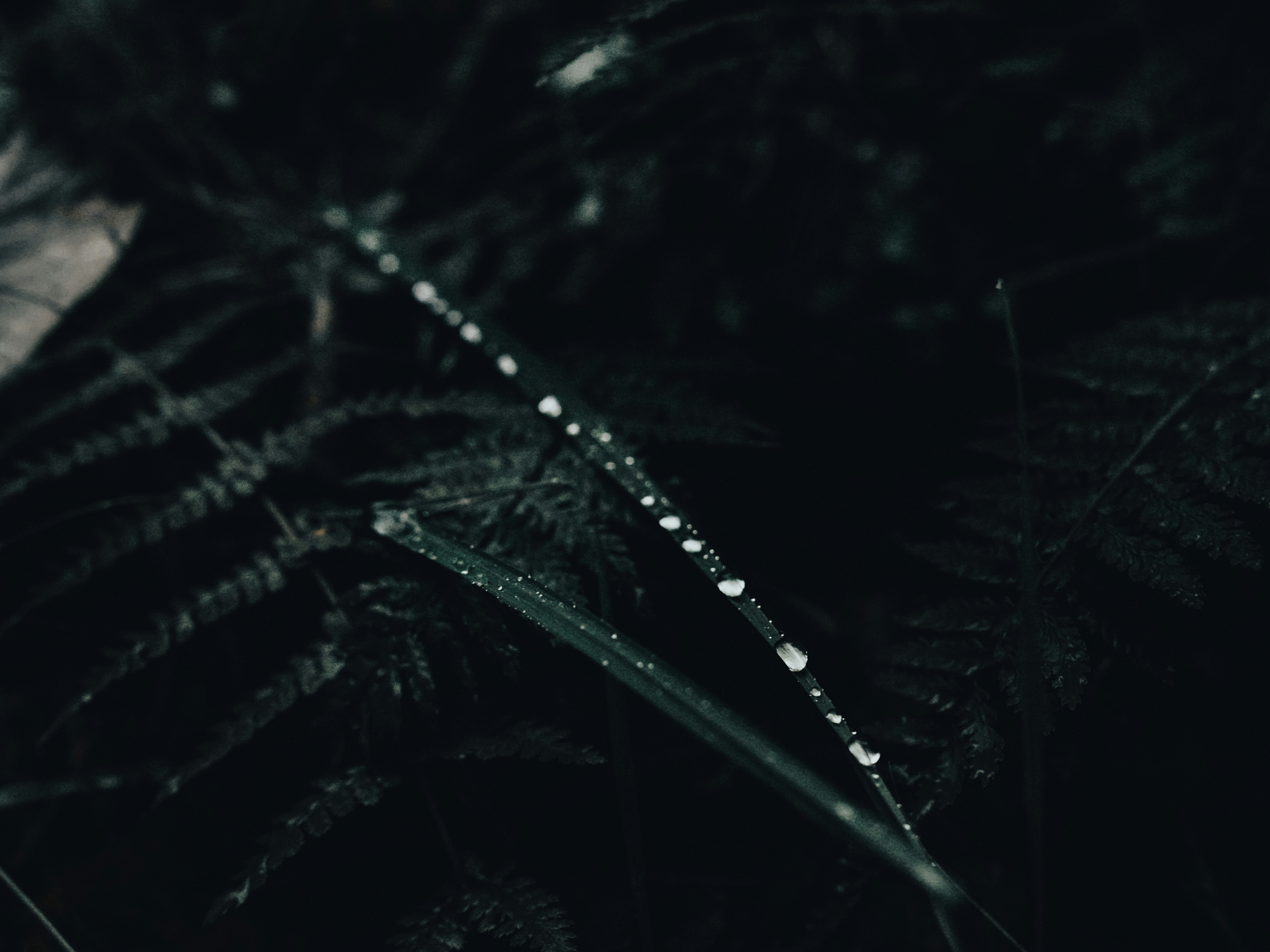 Photo by mineral_of_demon