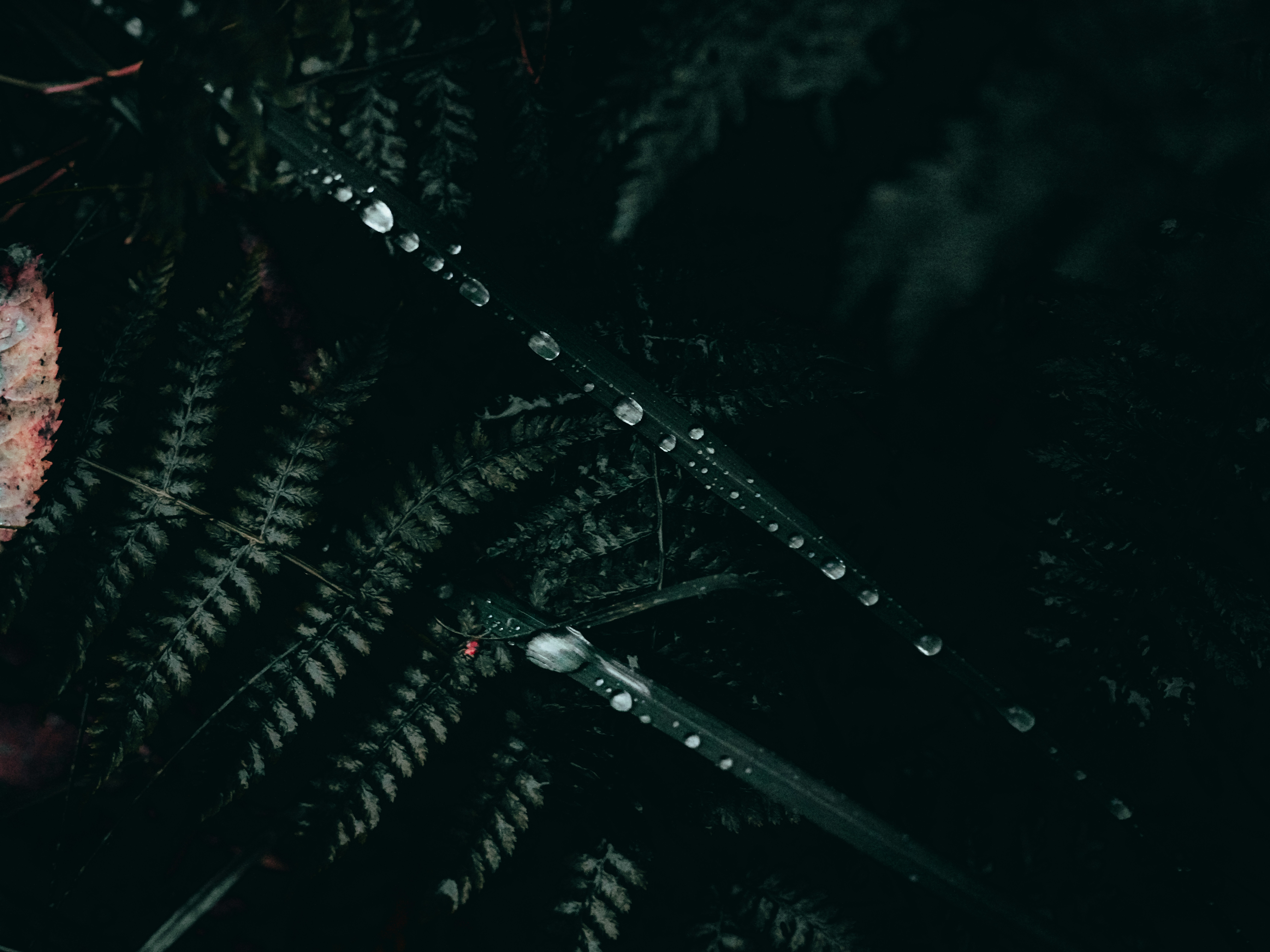 Photo by mineral_of_demon