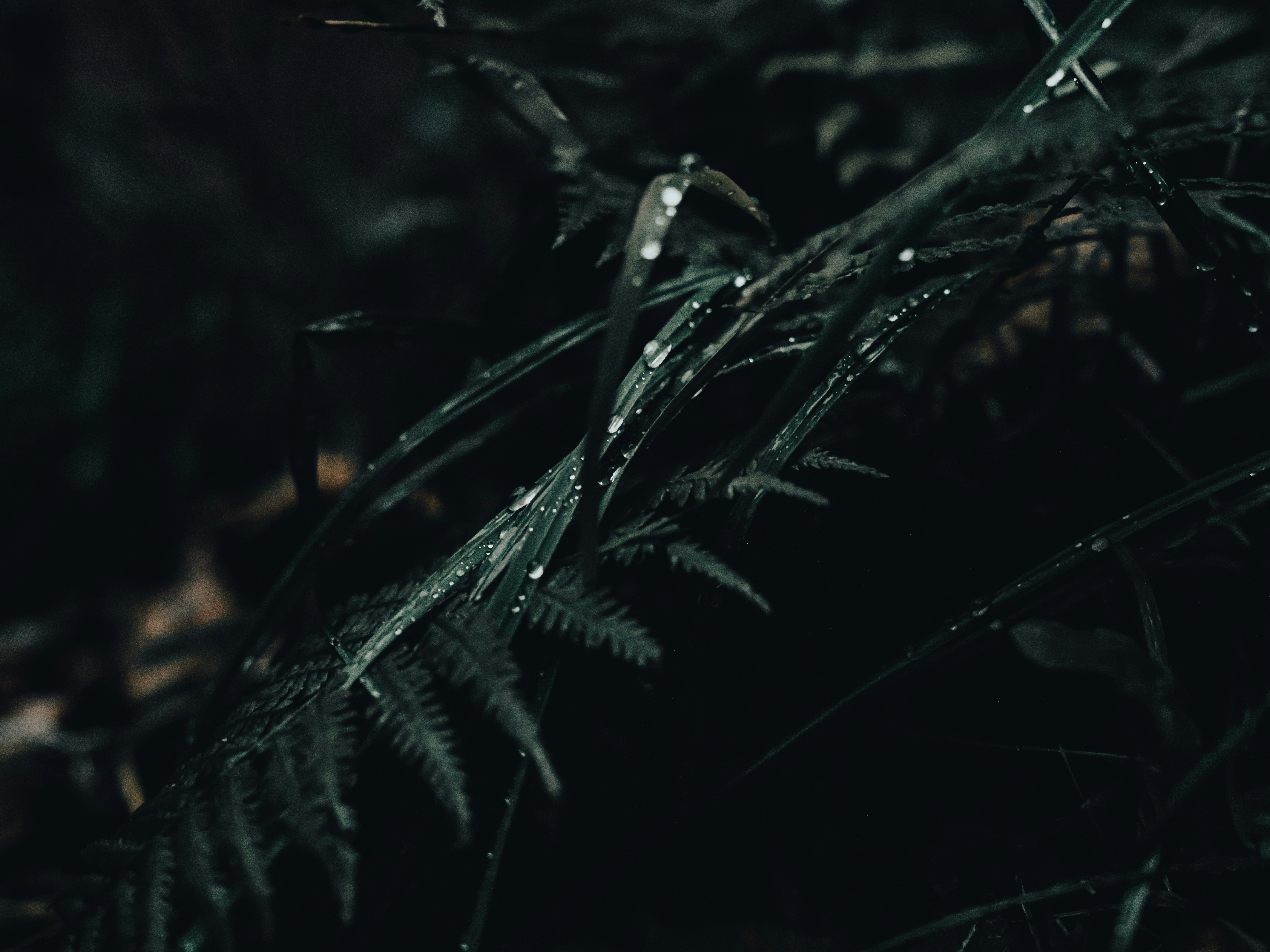 Photo by mineral_of_demon