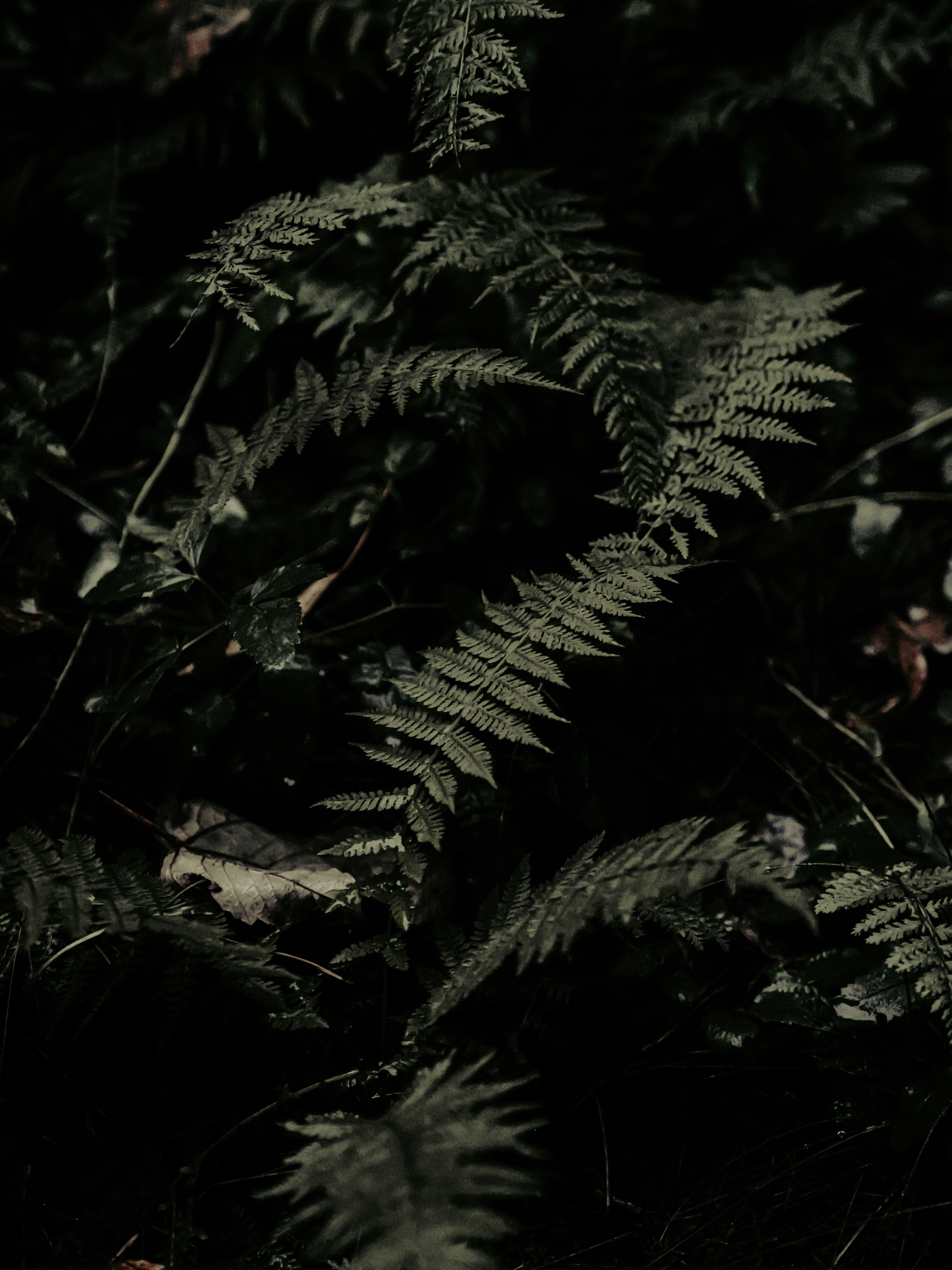 Photo by mineral_of_demon