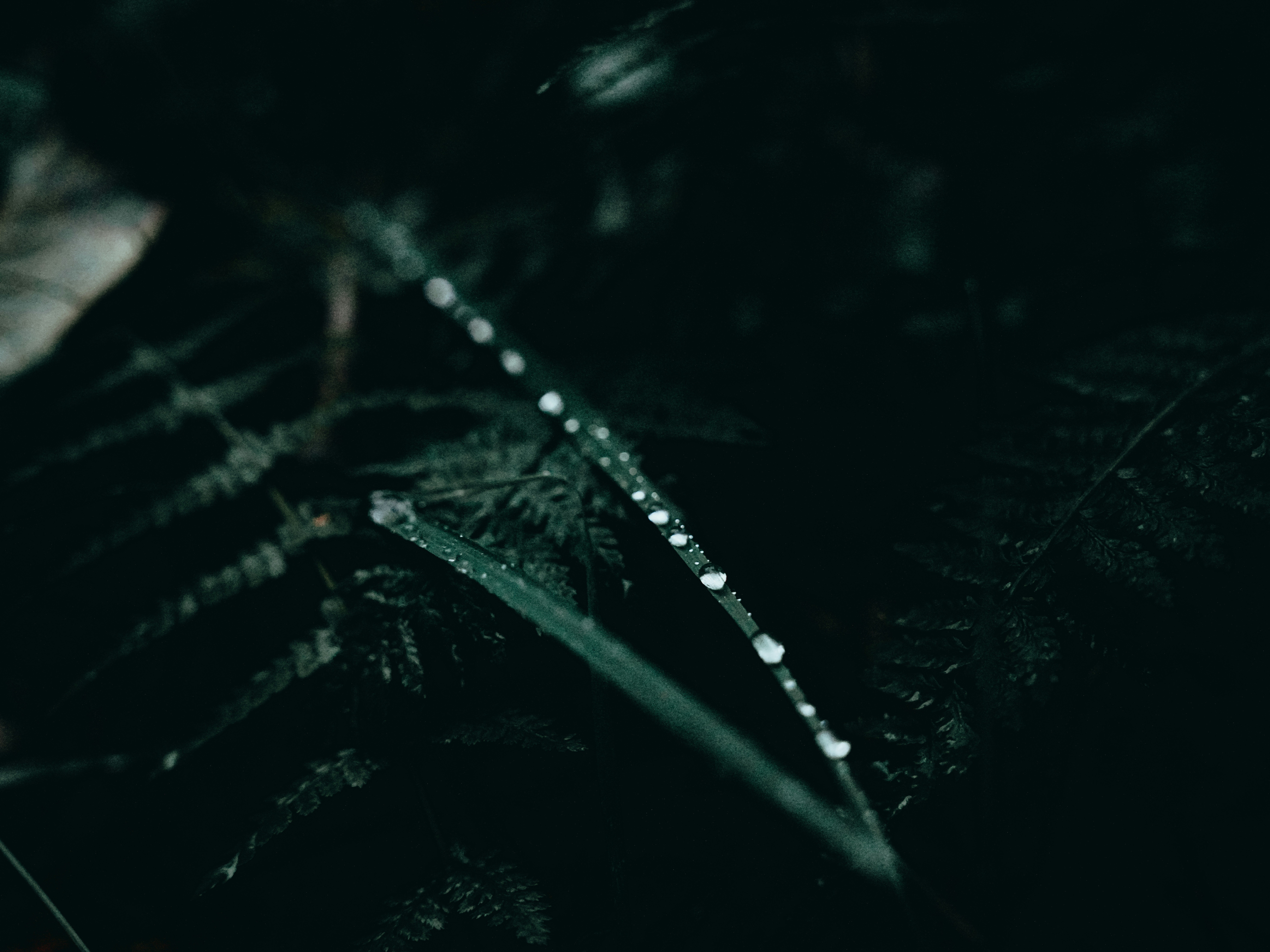 Photo by mineral_of_demon