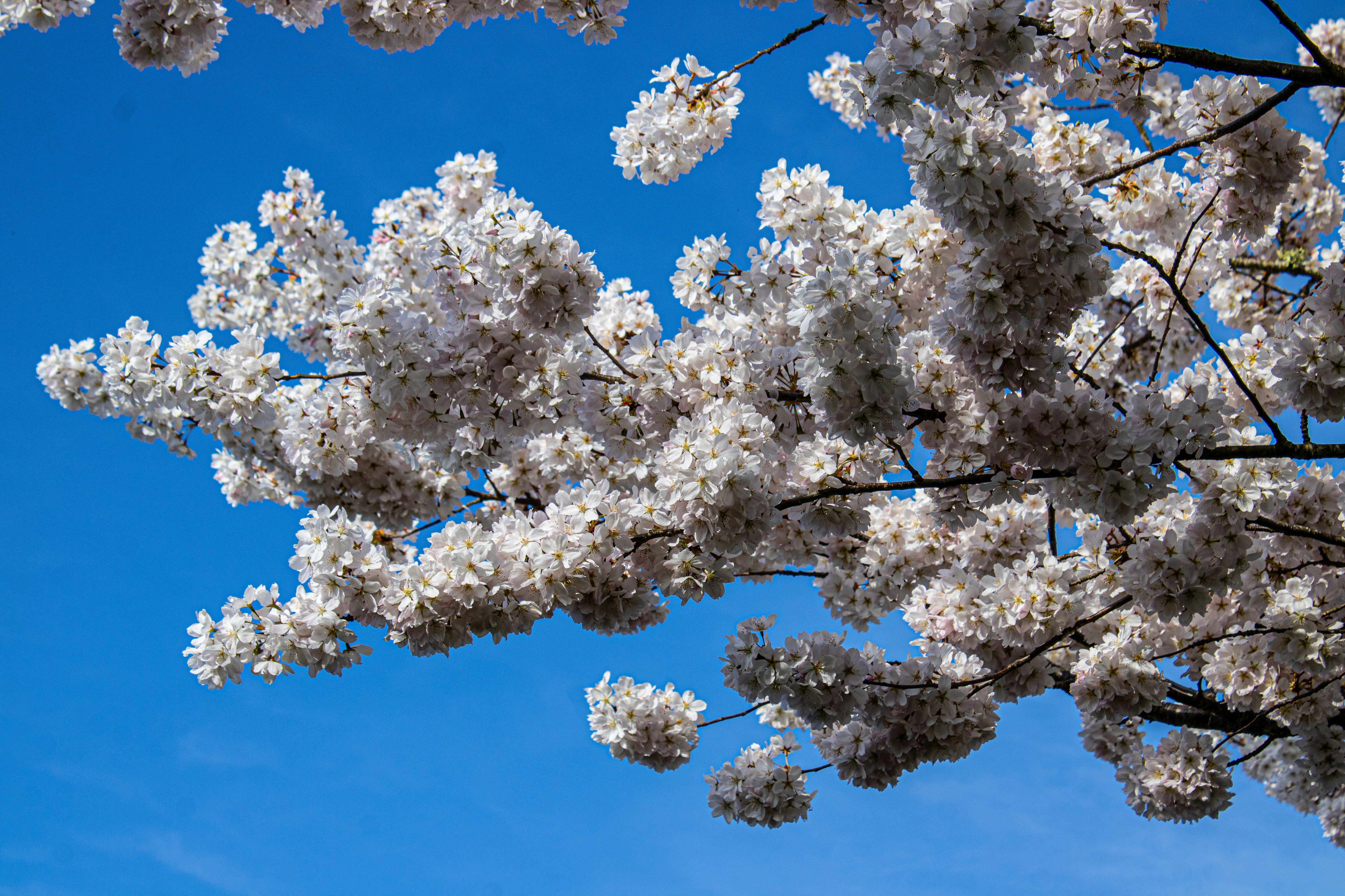 Photo by prphotography262