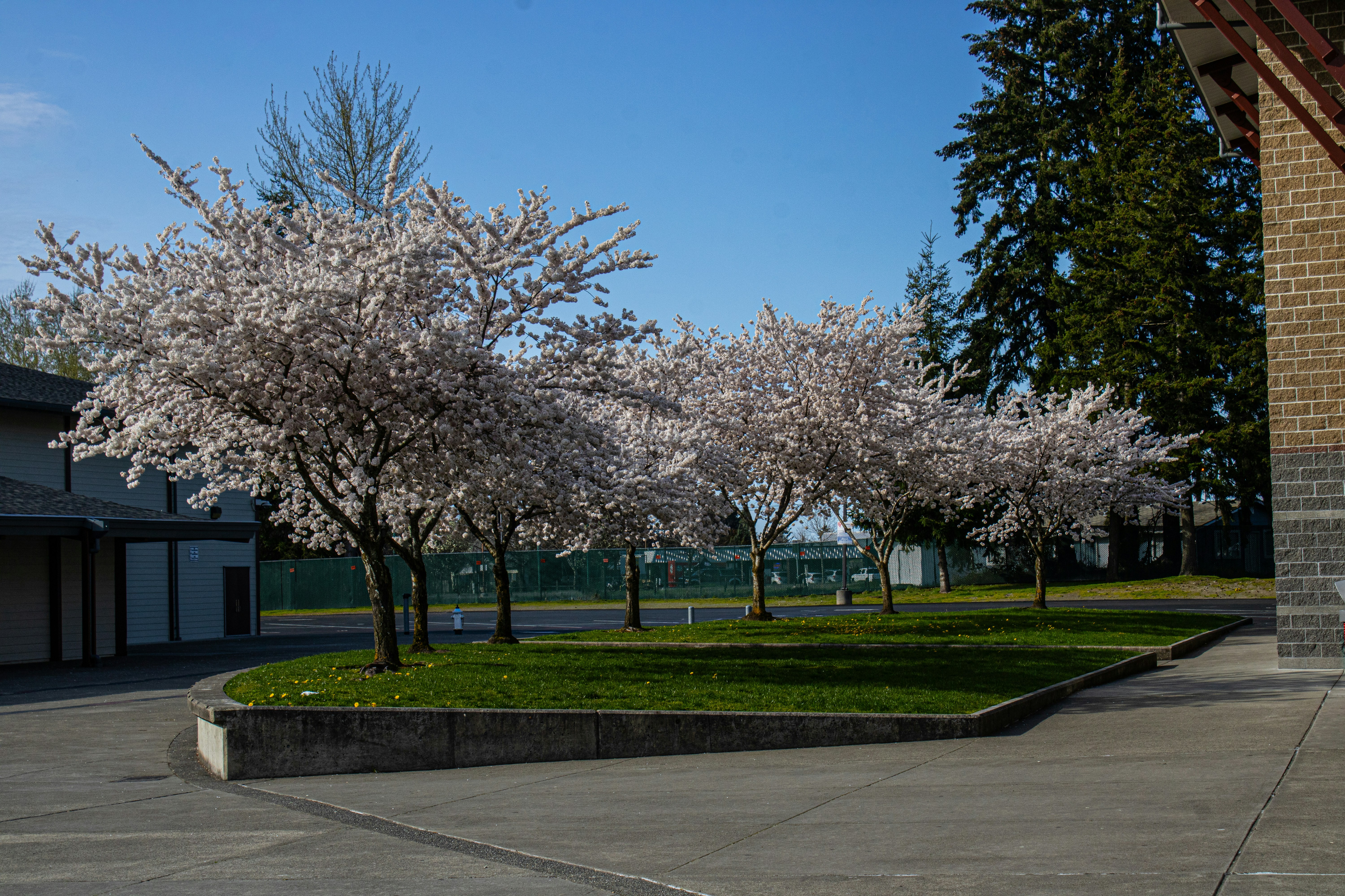 Photo by prphotography262