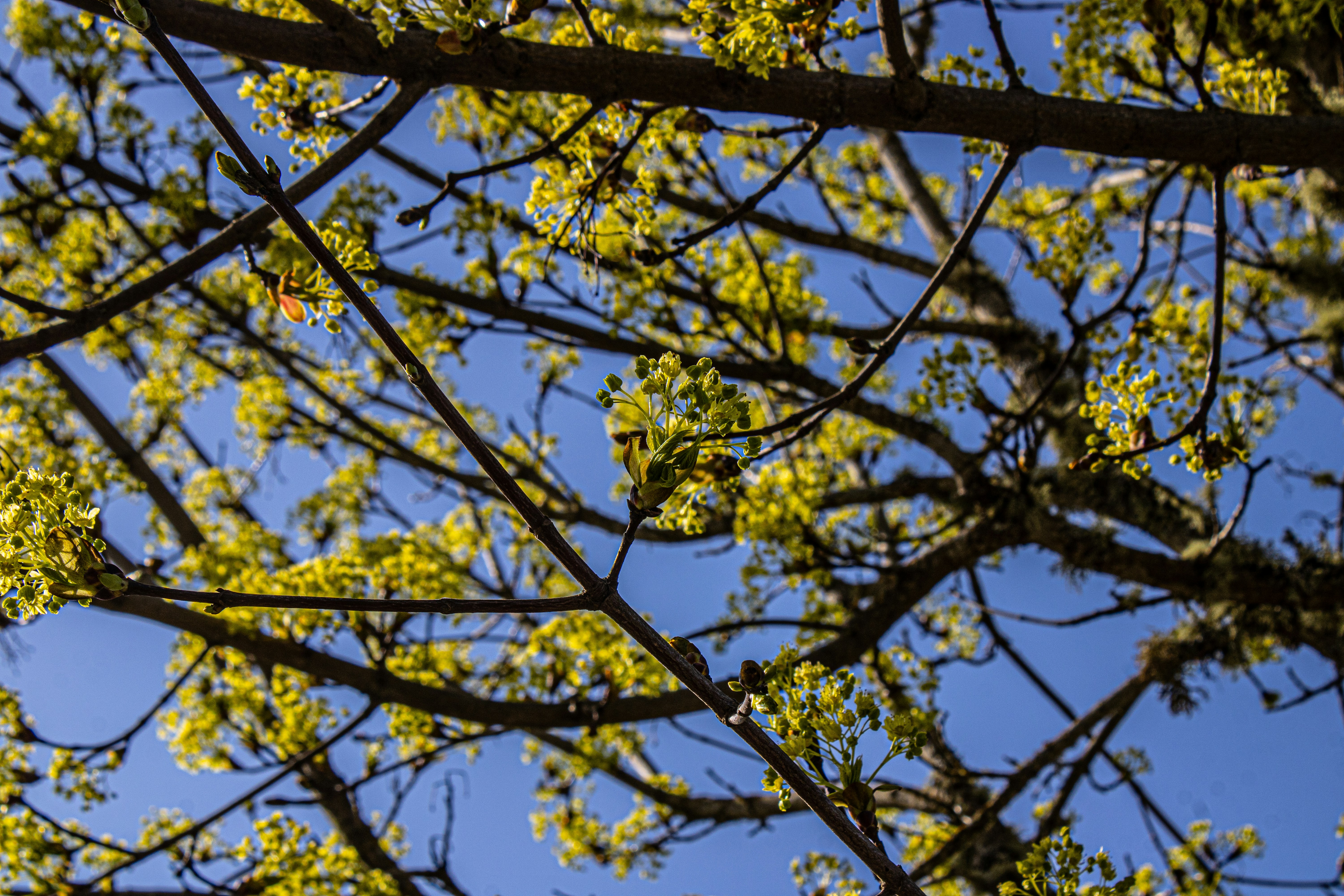 Photo by prphotography262