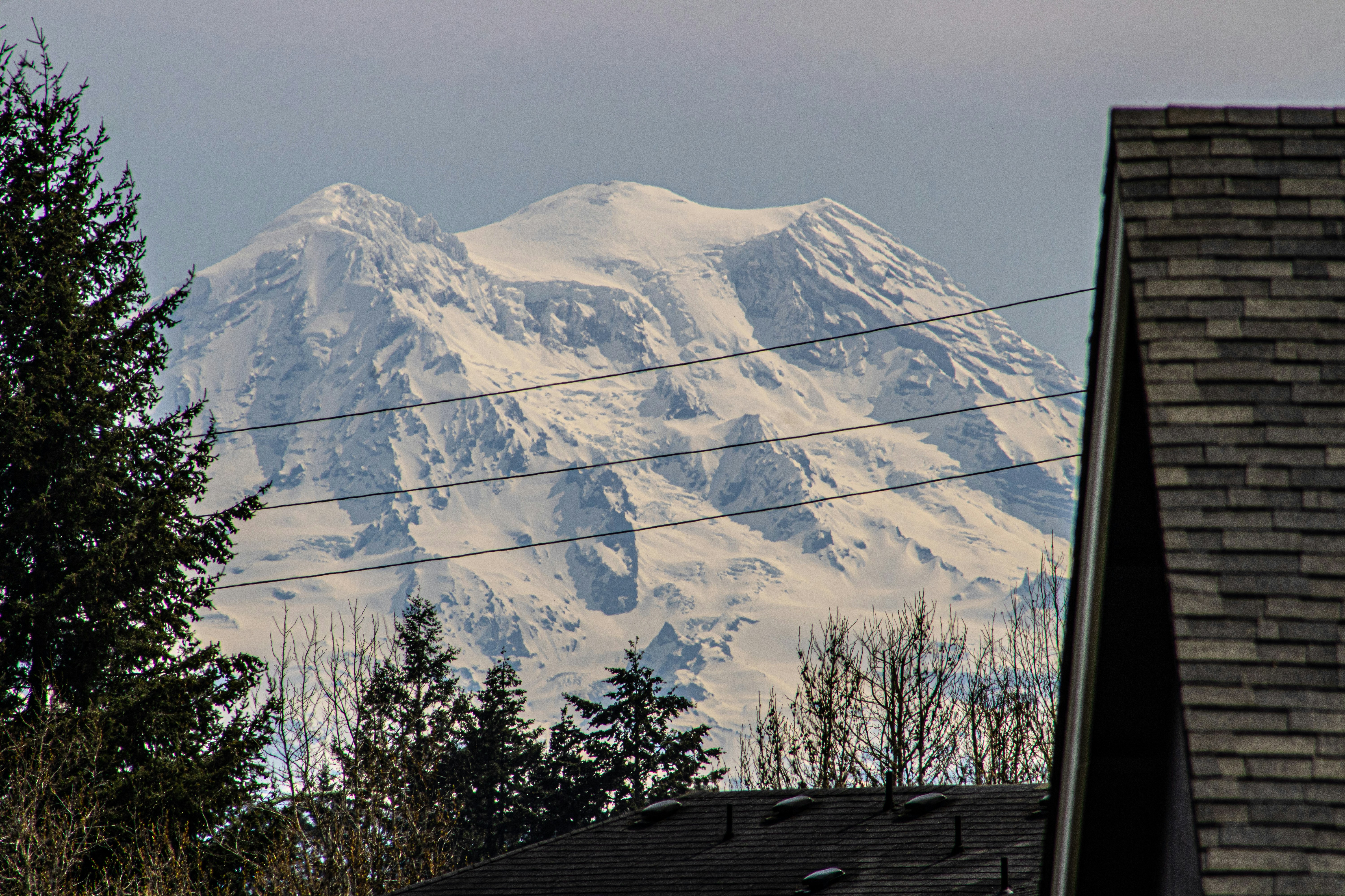 Snowy mountain peaks loom in the background.