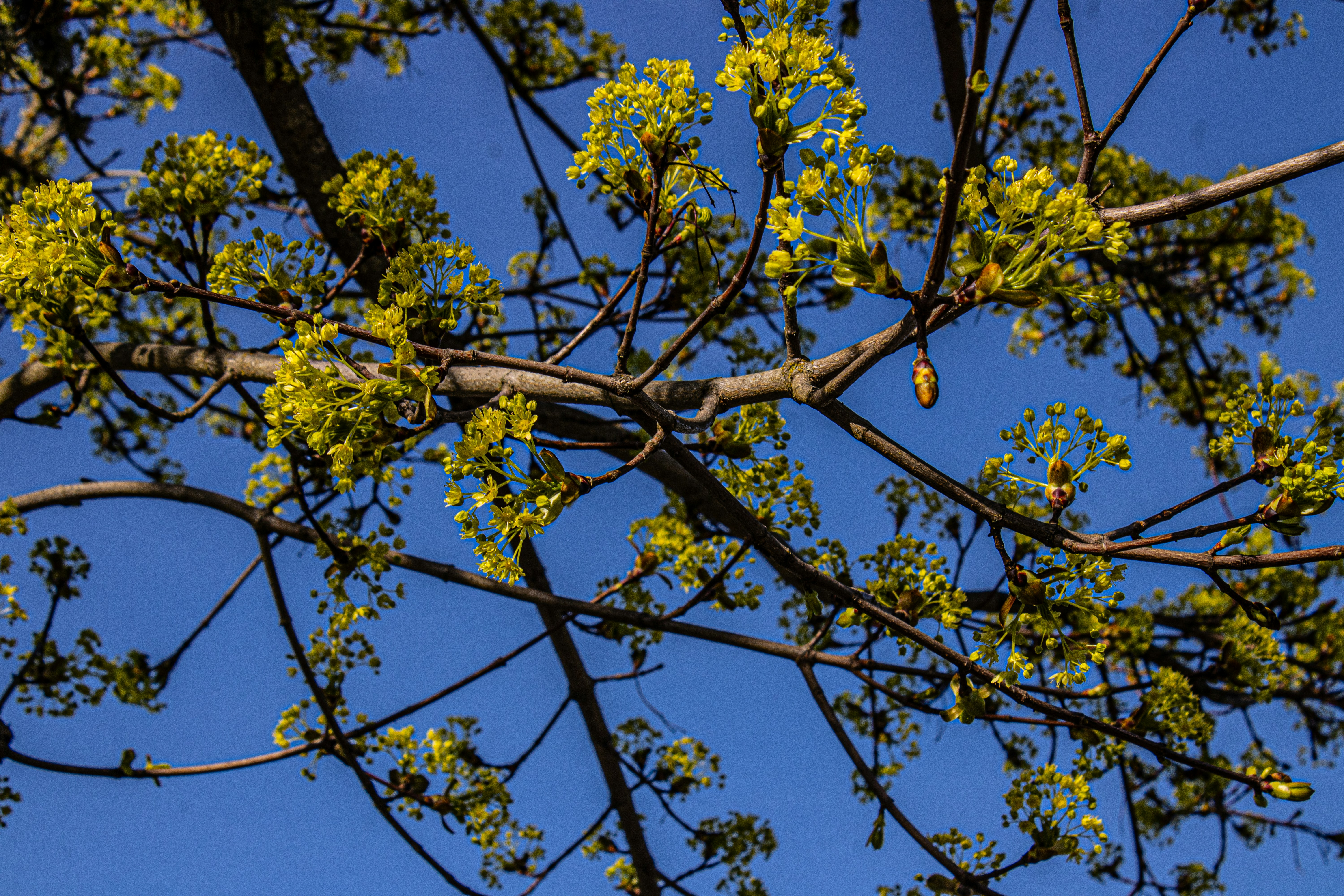 Photo by prphotography262