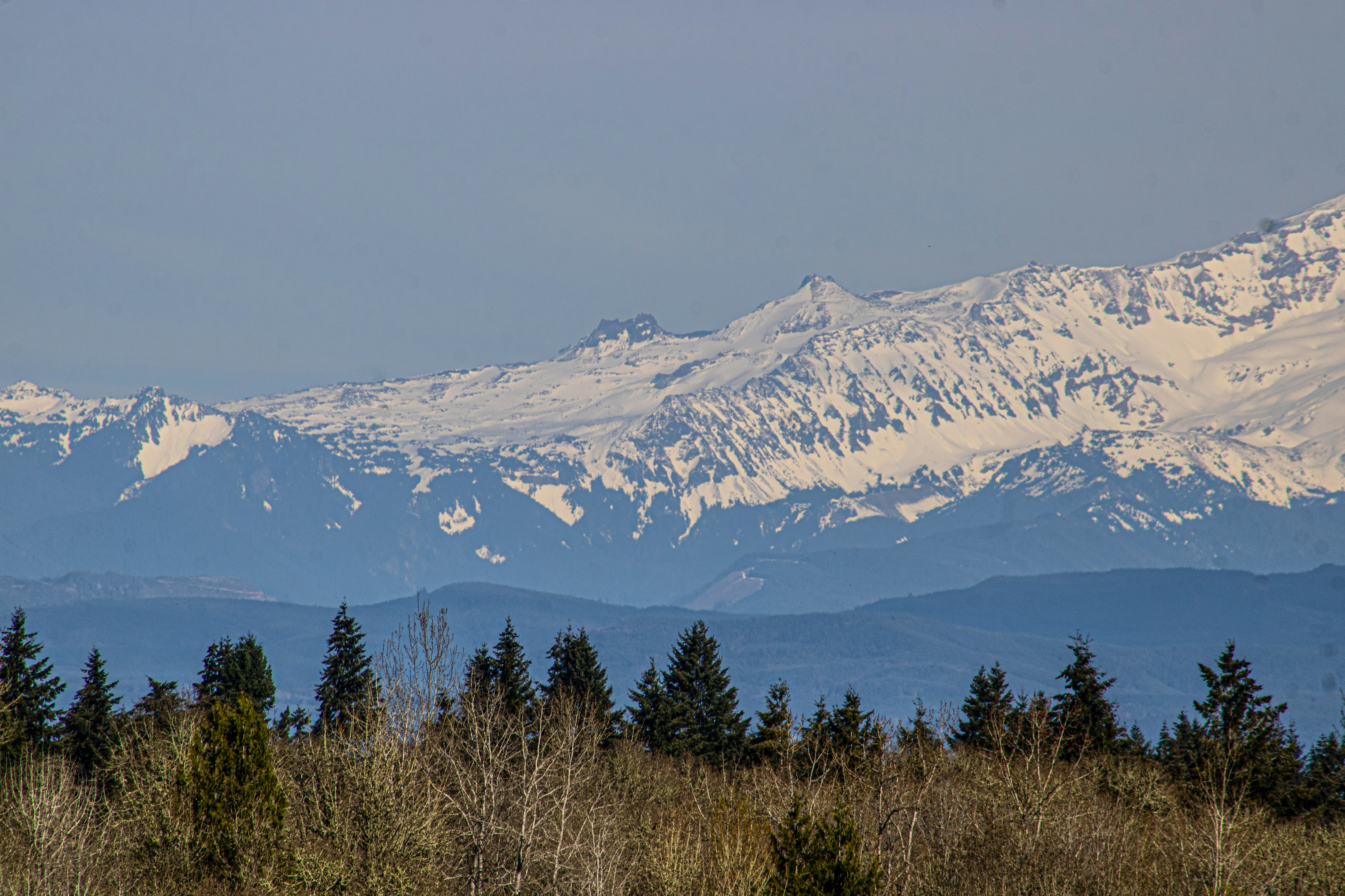 Photo by prphotography262