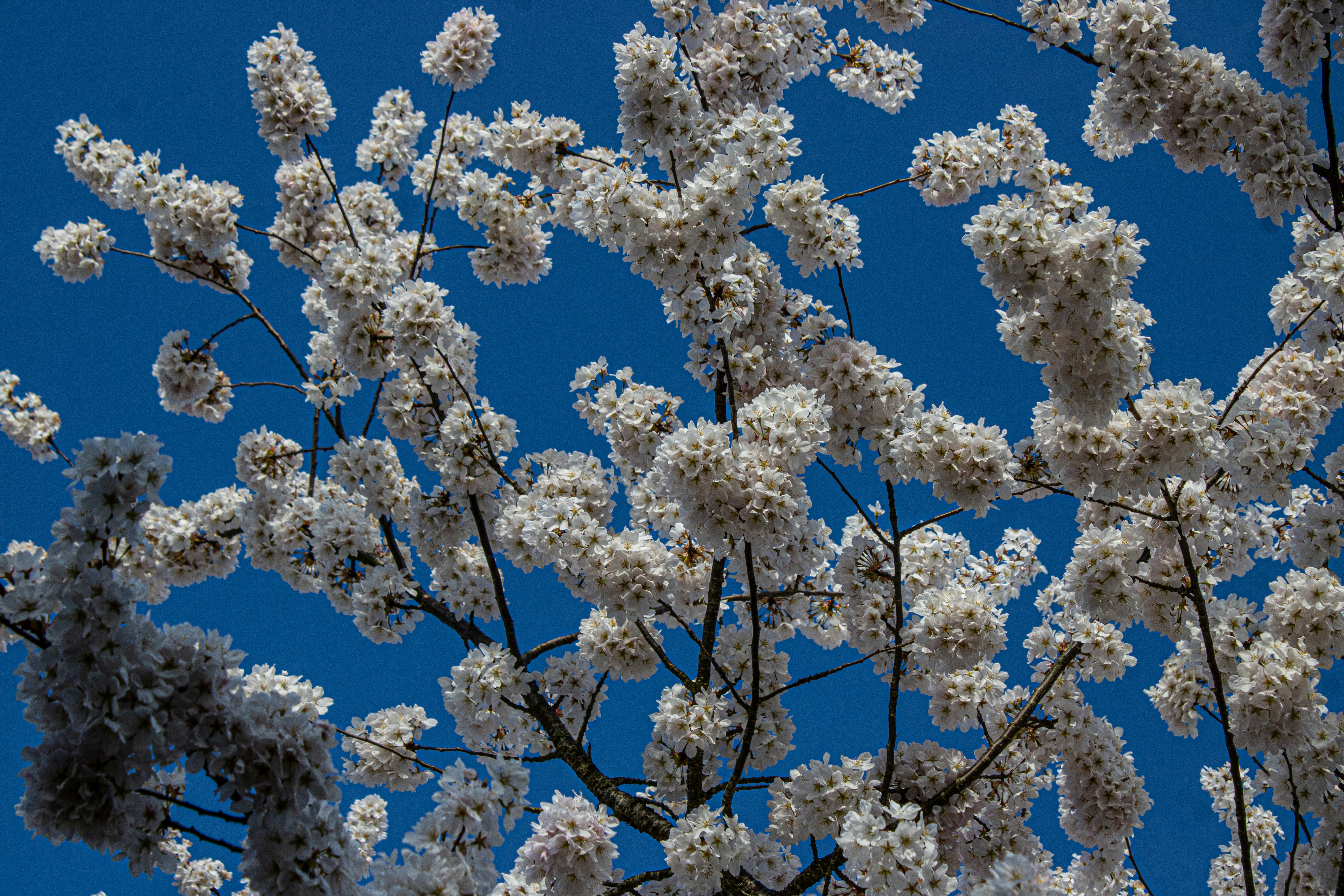 Photo by prphotography262