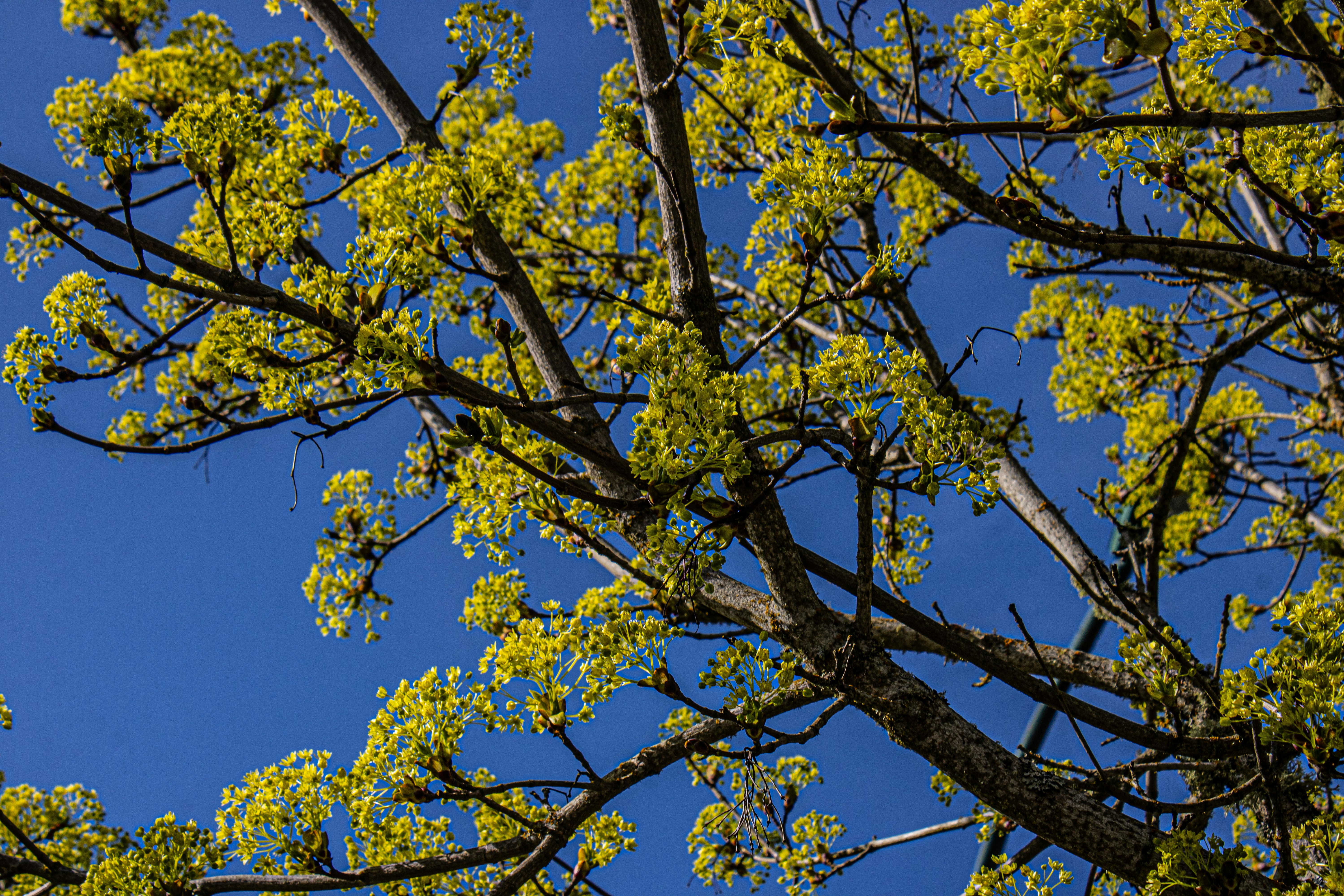 Photo by prphotography262