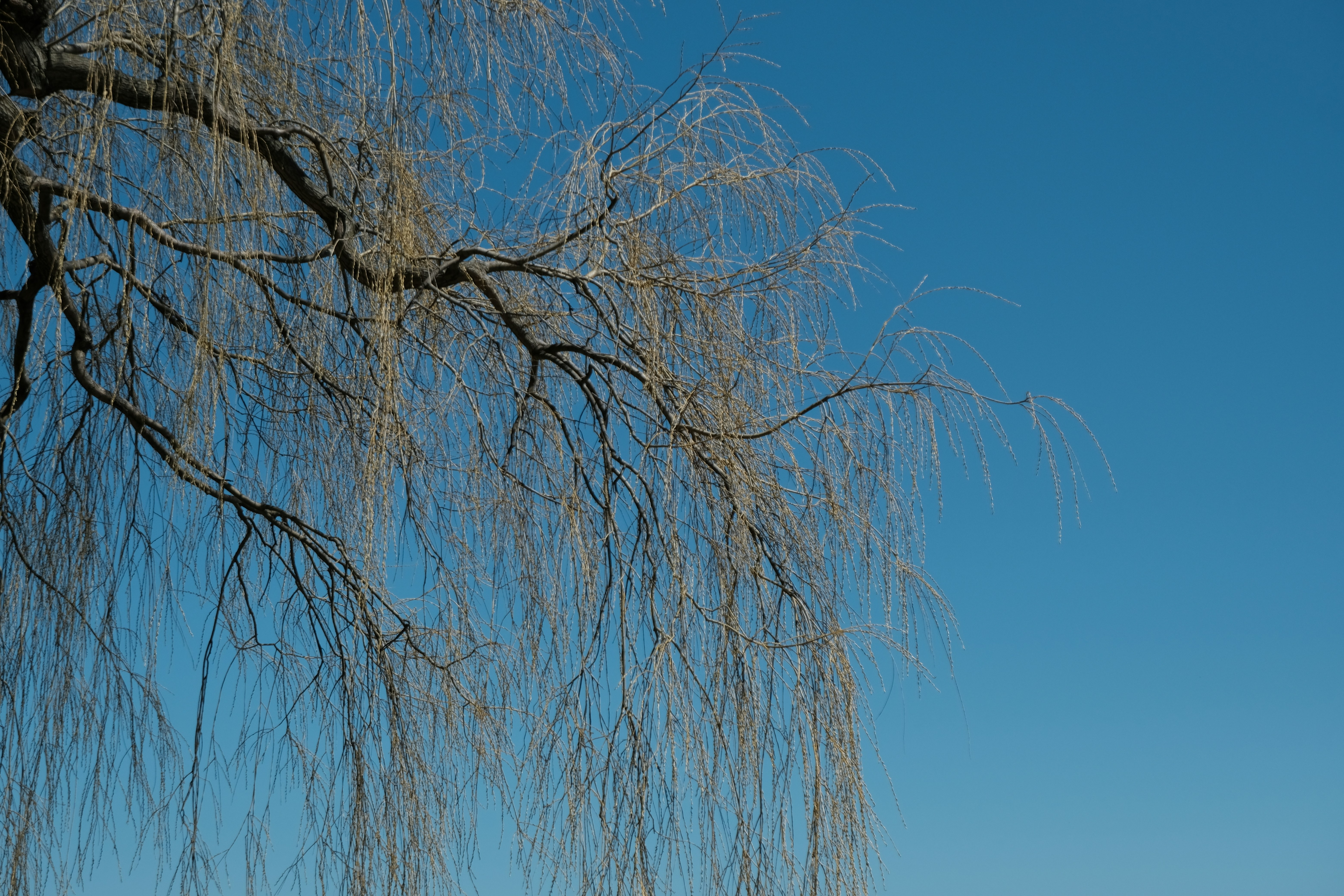 Photo by xuan043