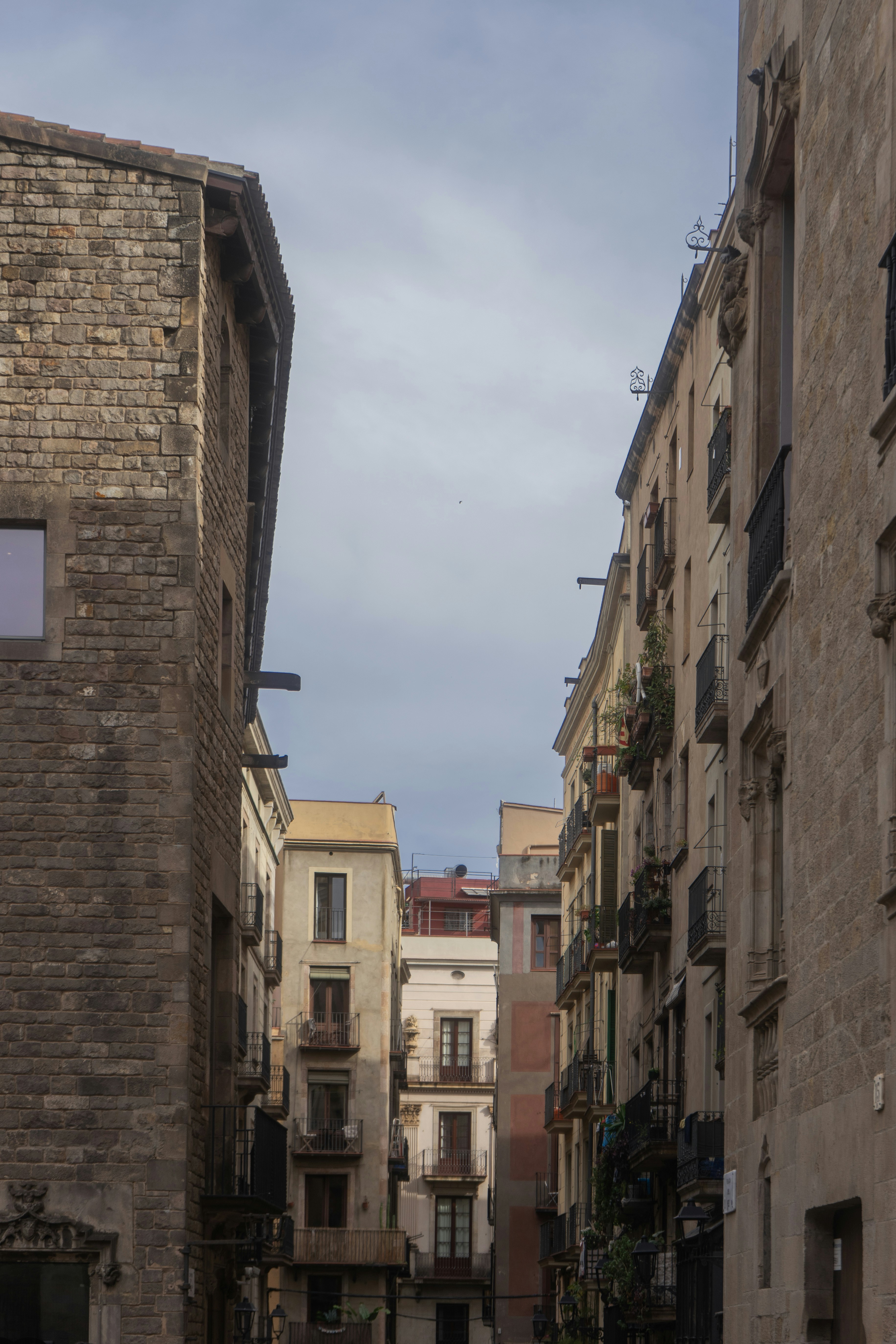 Photo by mariasolponce