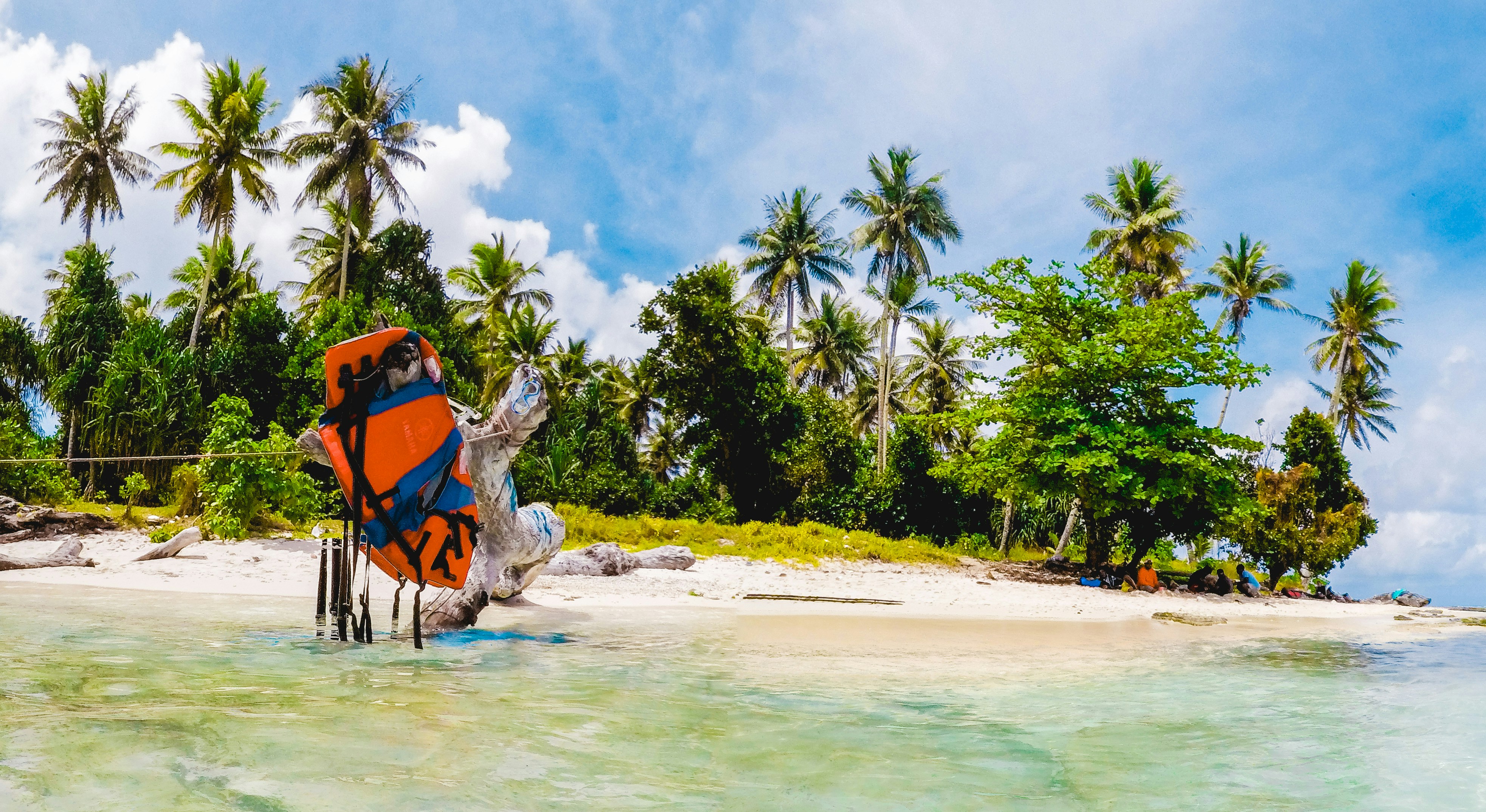 Beautiful tropical beach with palm trees and clear water. photo – Free Beach  Image on Unsplash, image size:3000x1640