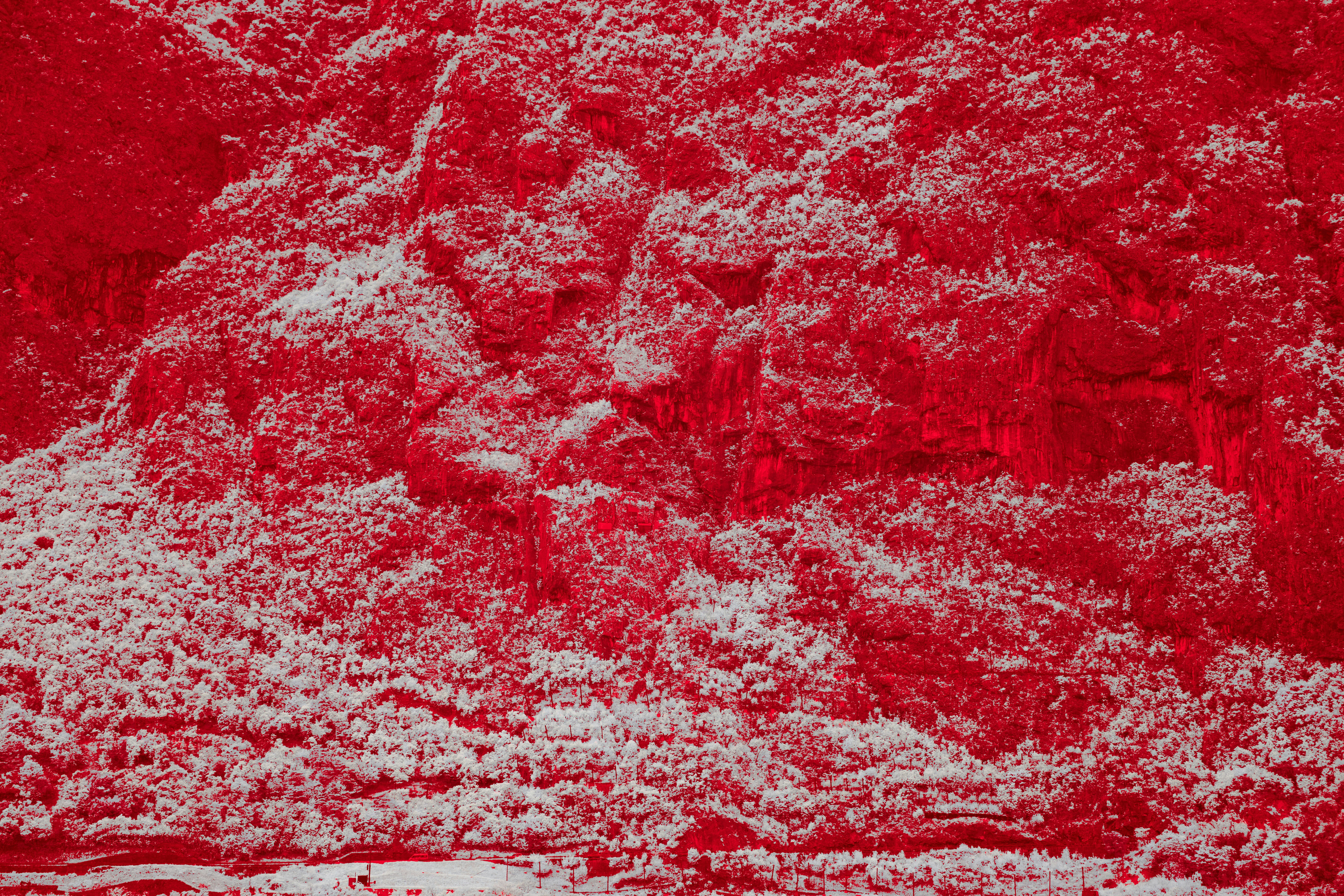 Photo by wolfgang_hasselmann