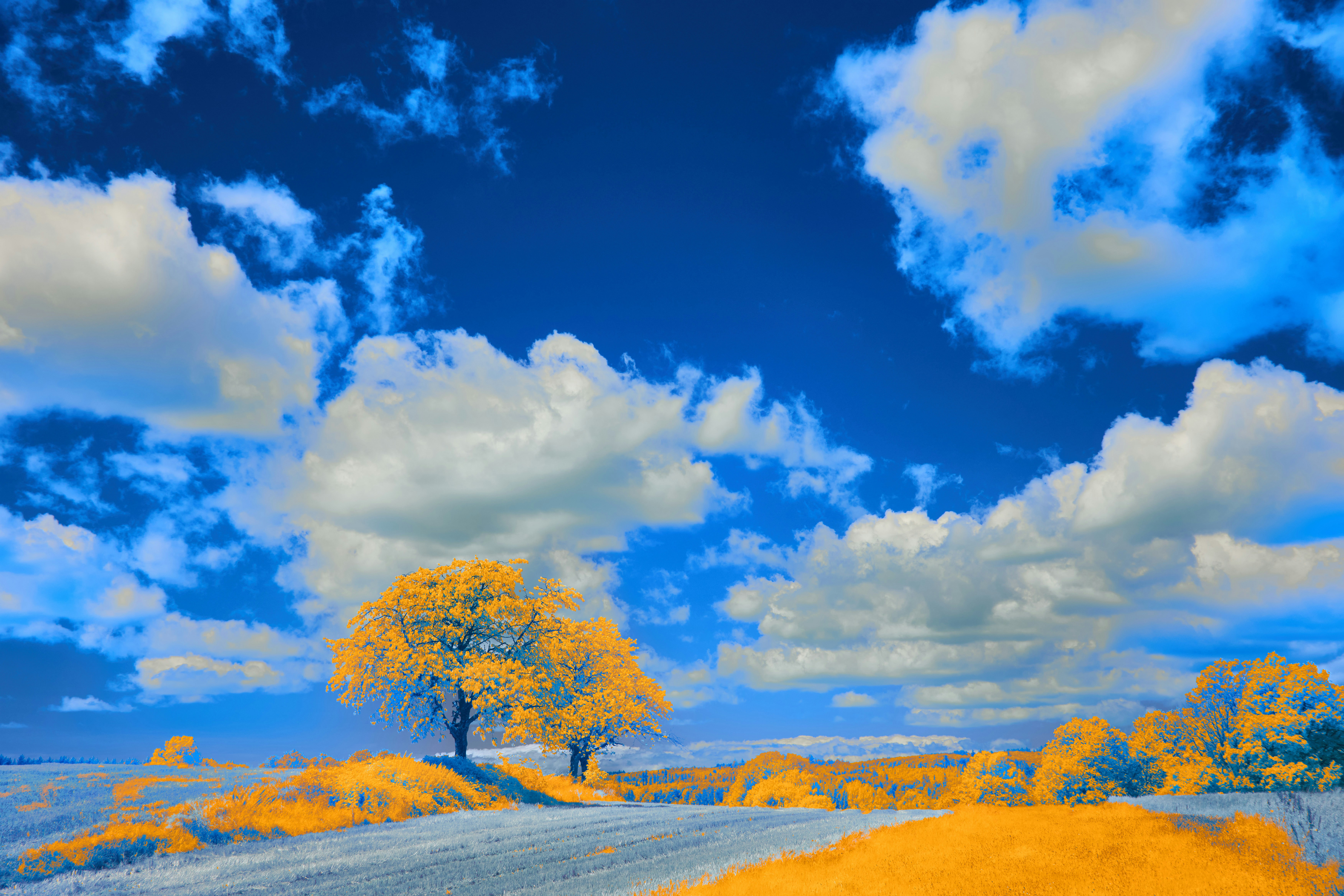 Photo by wolfgang_hasselmann