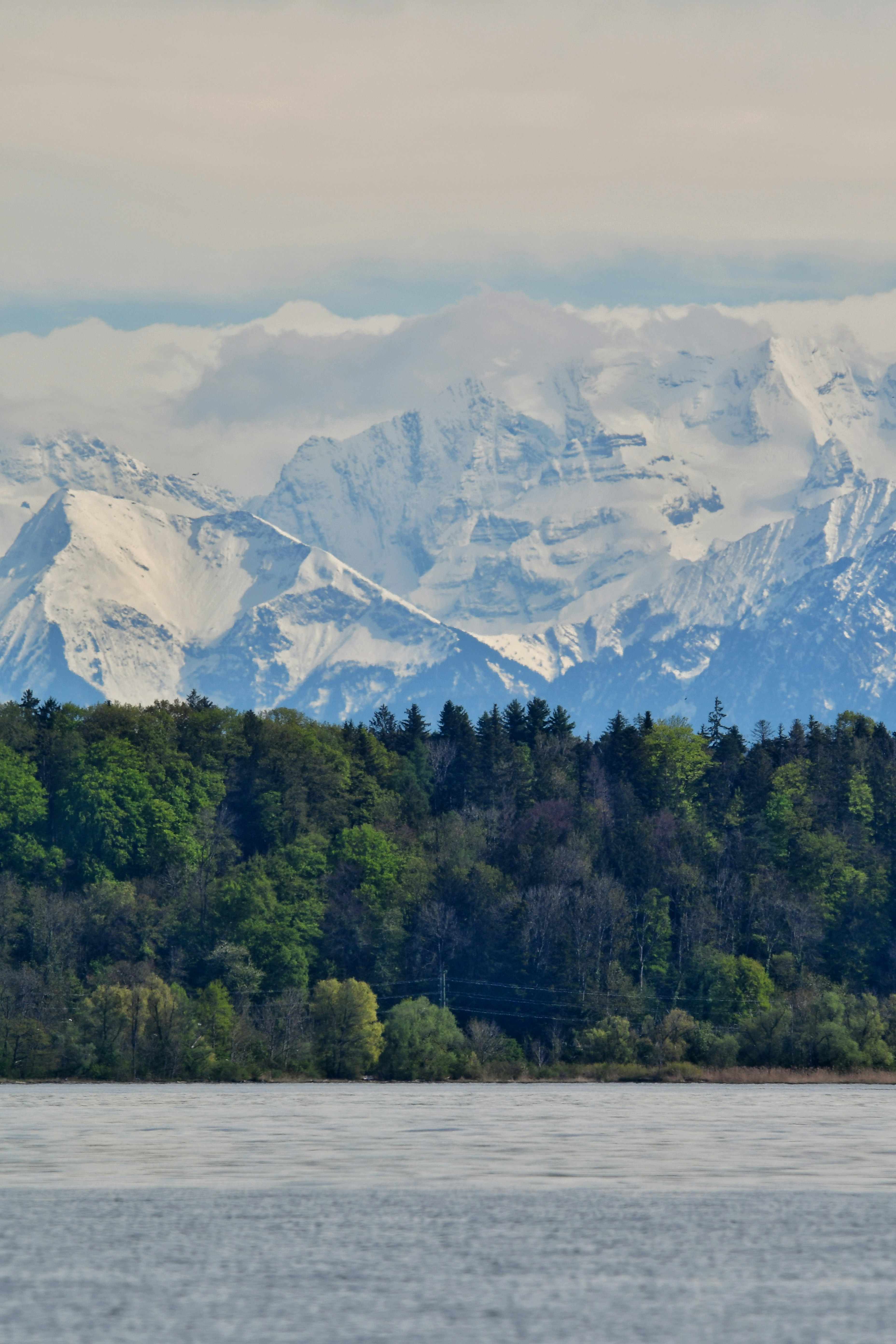 Photo by pedrino5_official