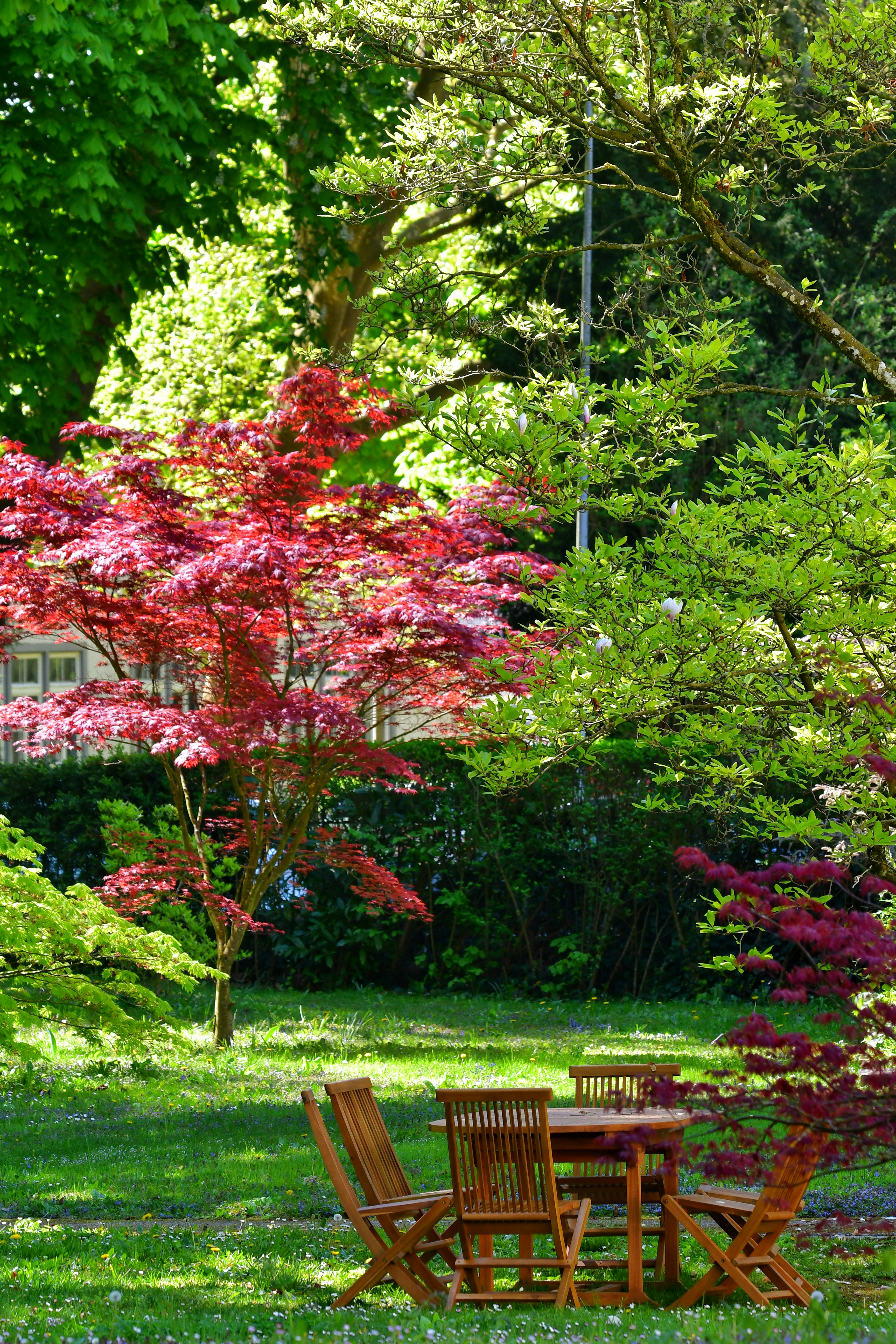 Photo by pedrino5_official