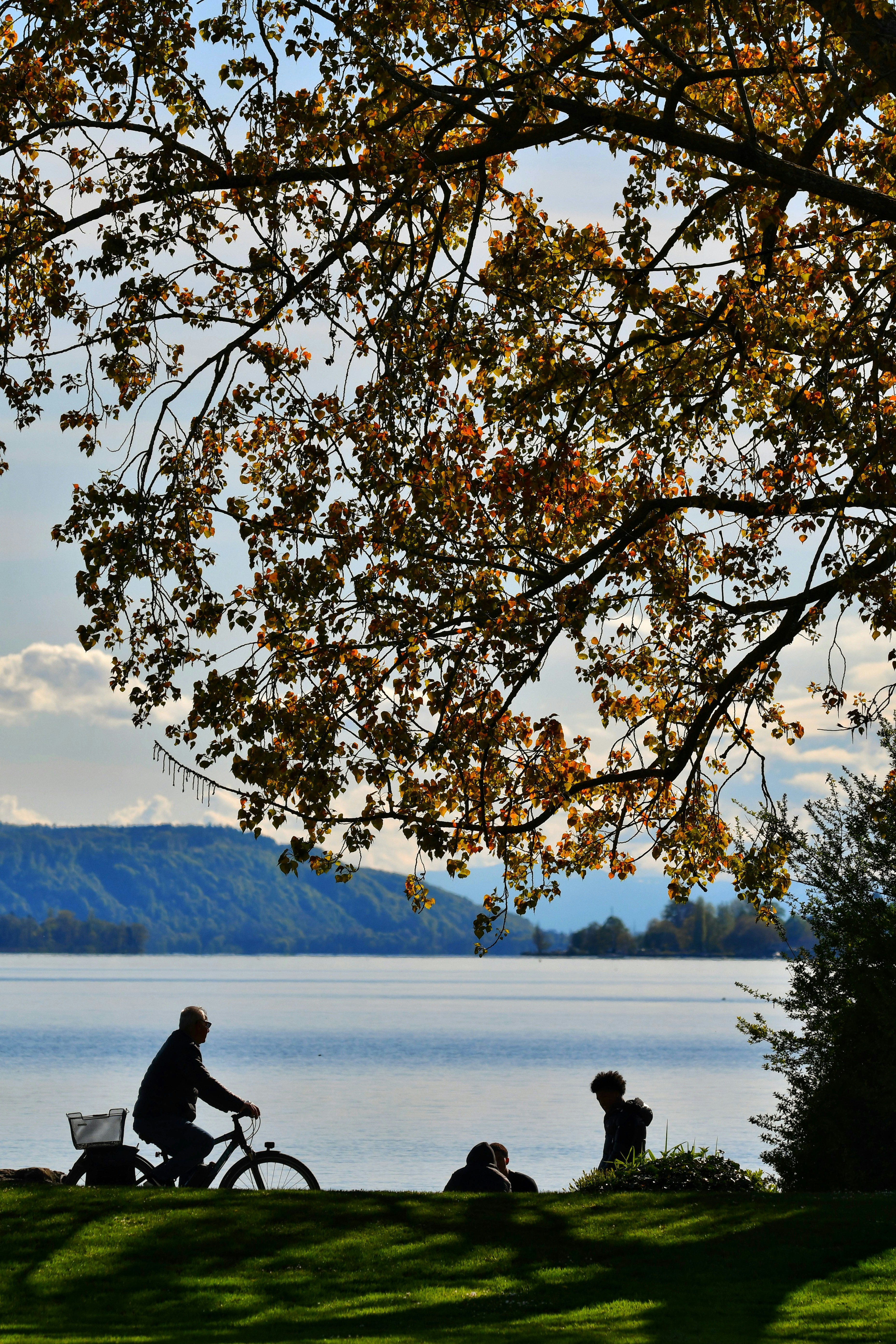 Photo by pedrino5_official