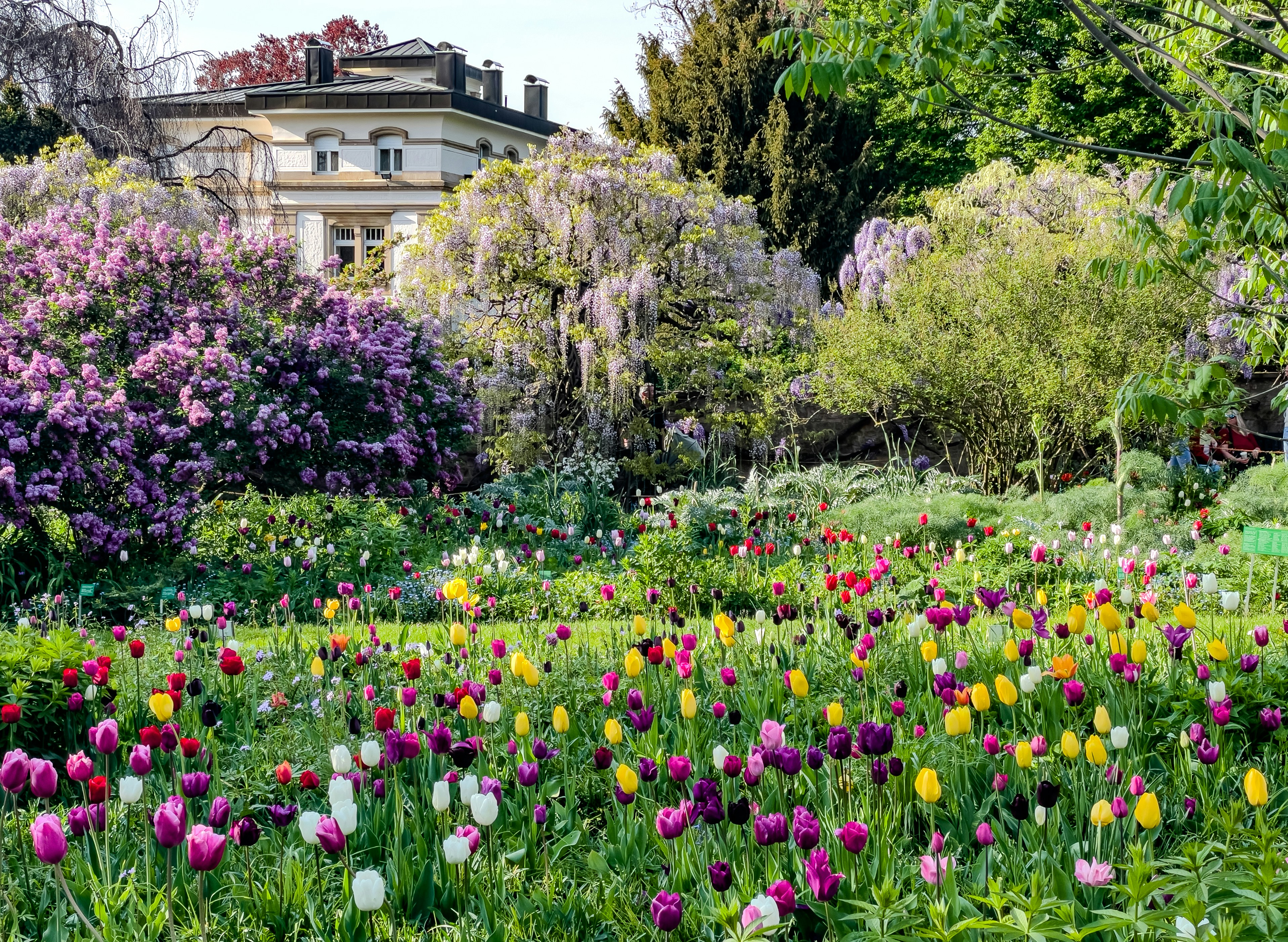12 Spring European Luxury Tours for Flower Lovers