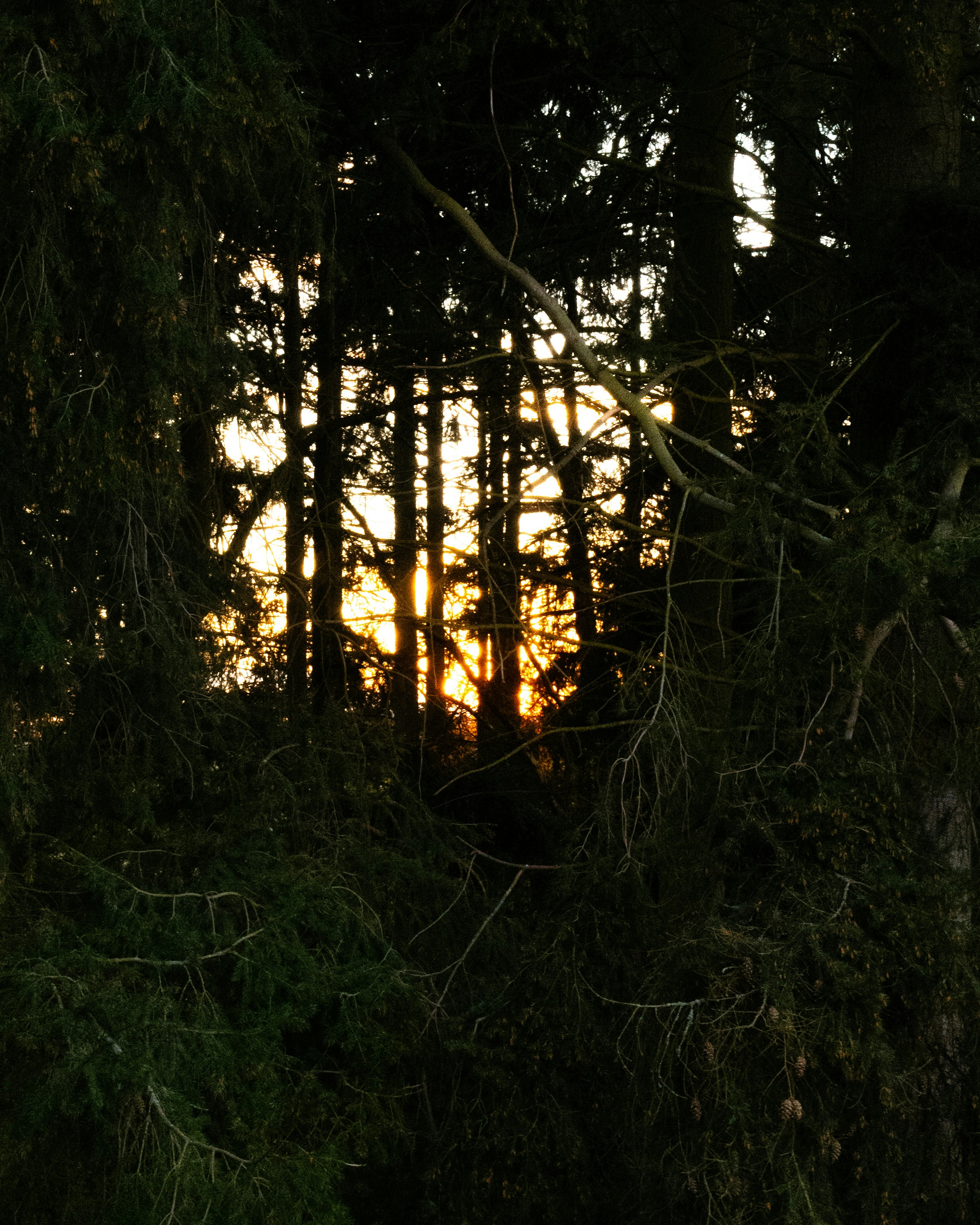 Photo by maikastheimer