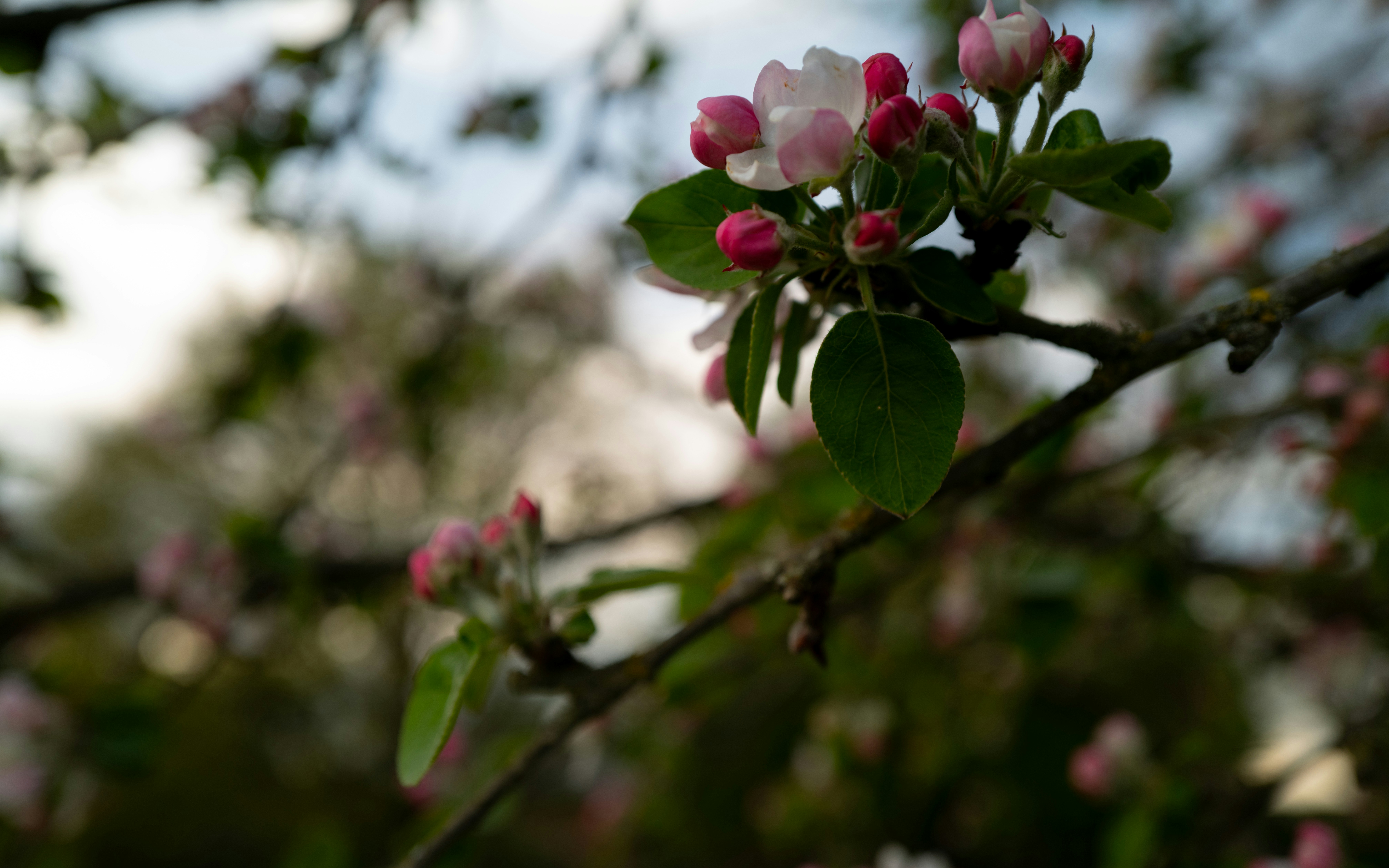 Photo by maikastheimer