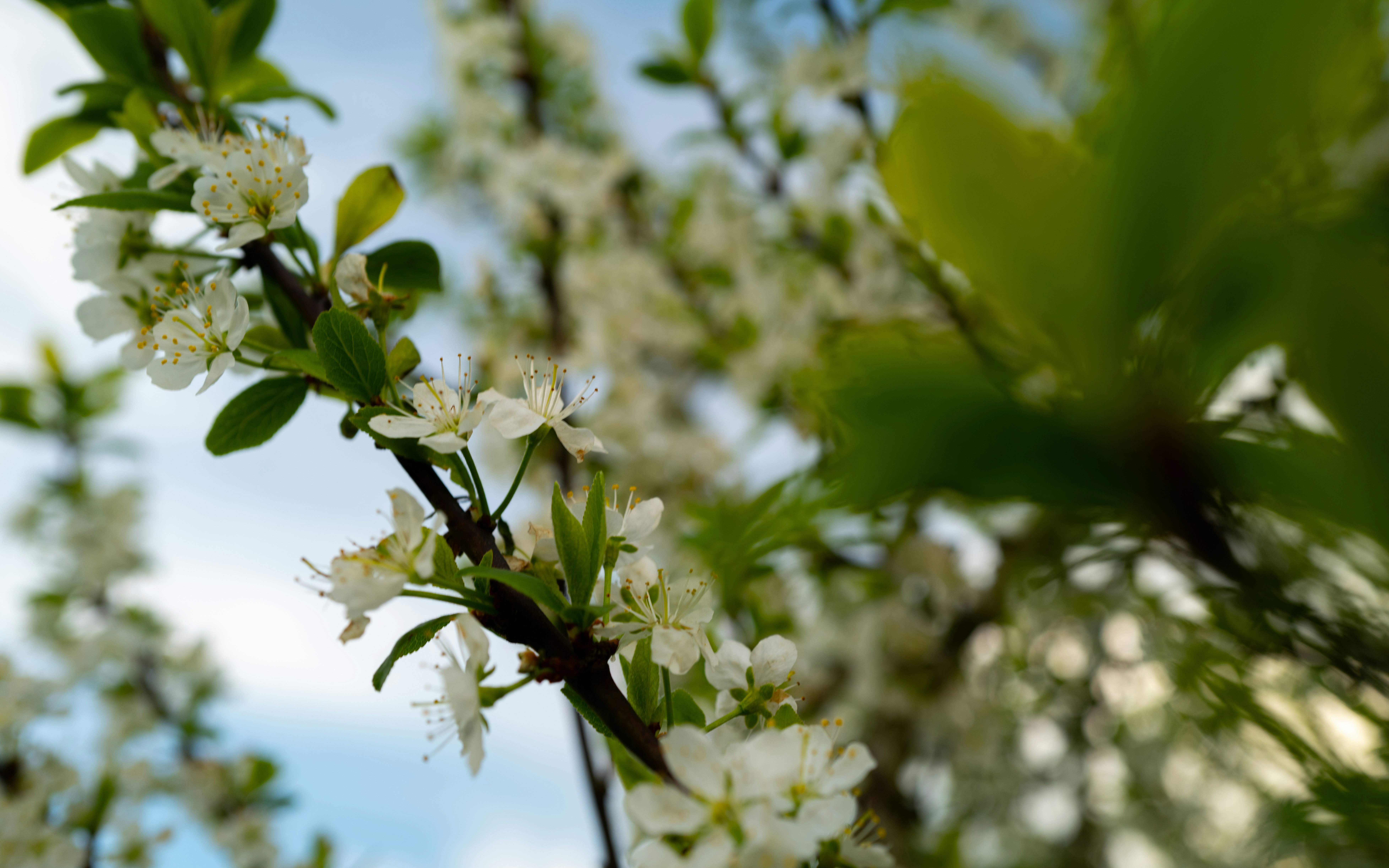 Photo by maikastheimer