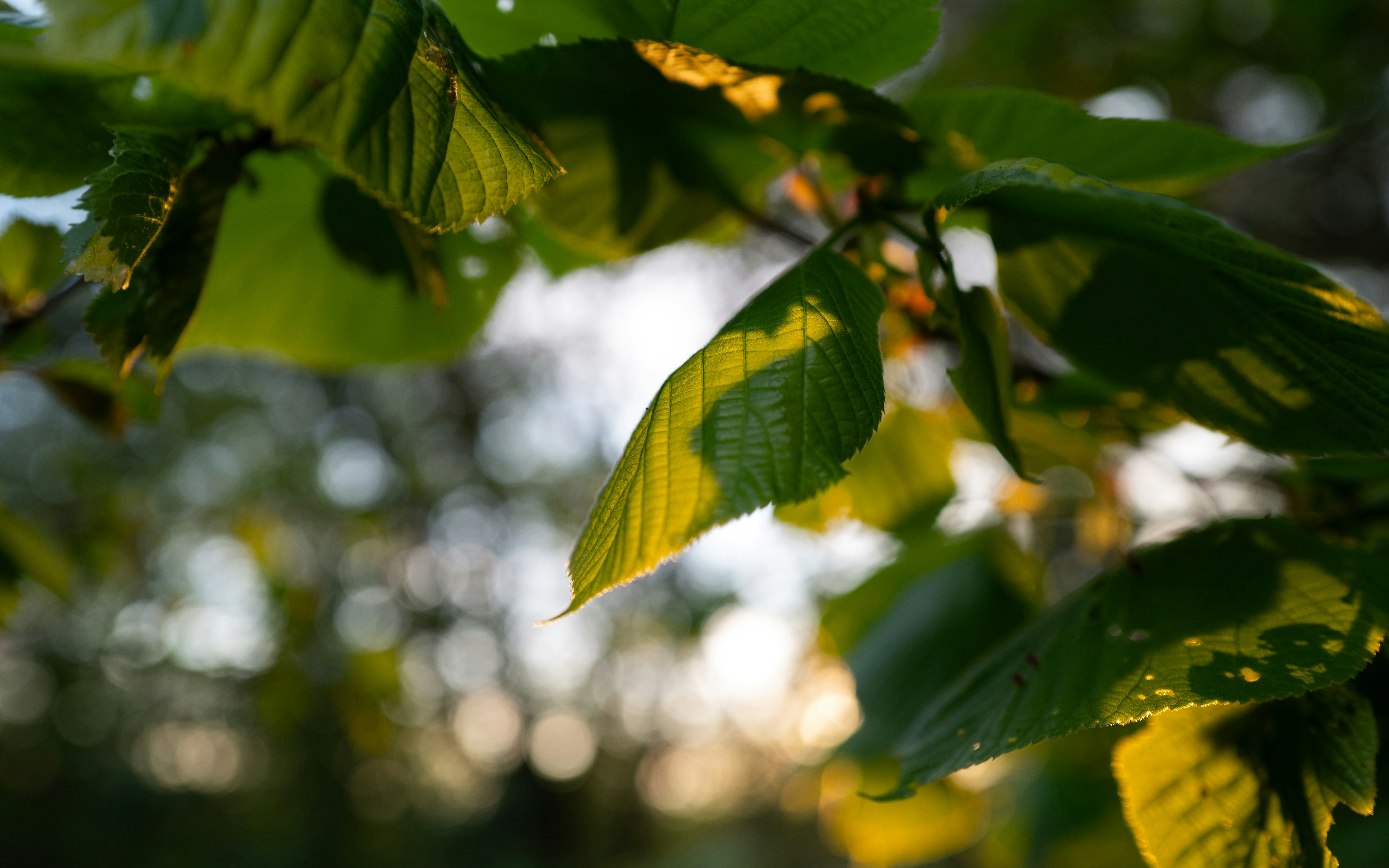 Photo by maikastheimer